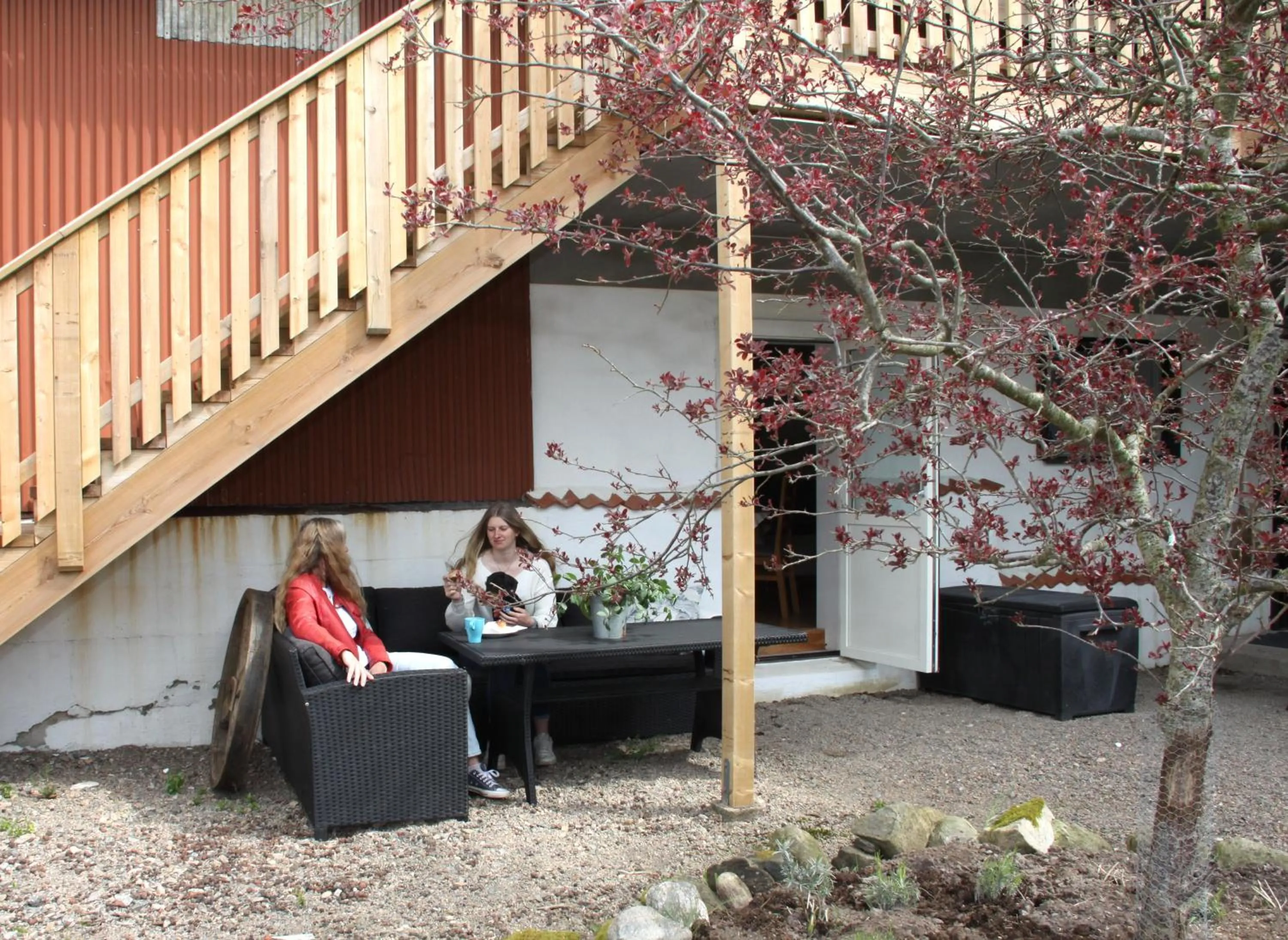 Älgbergets Bed & Breakfast