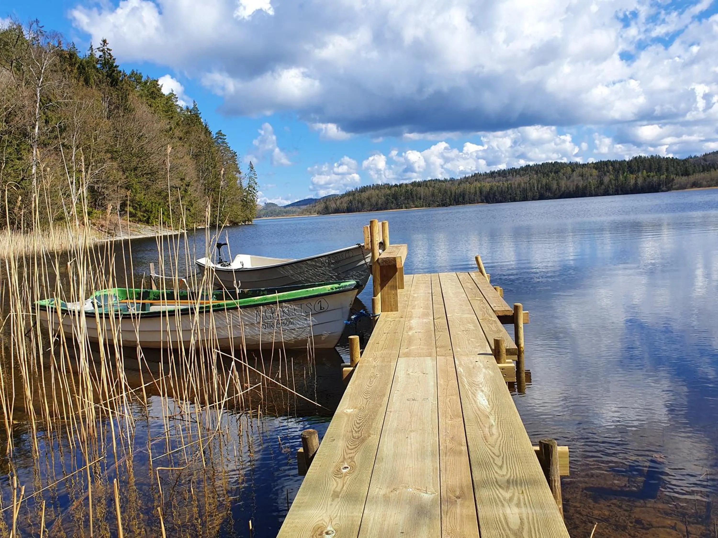 Activities in Älgbergets Bed & Breakfast