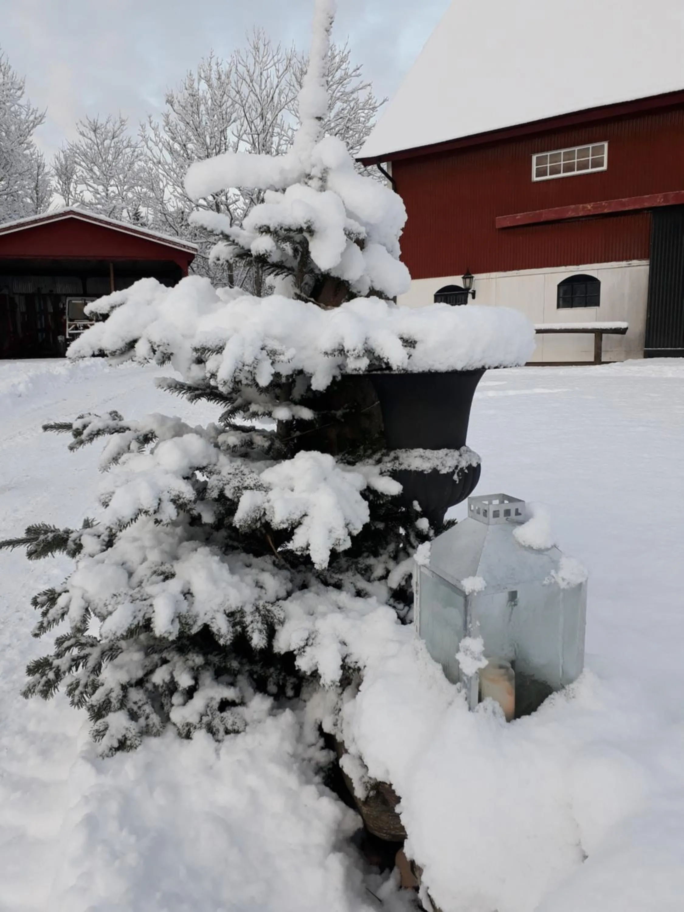 Älgbergets Bed & Breakfast