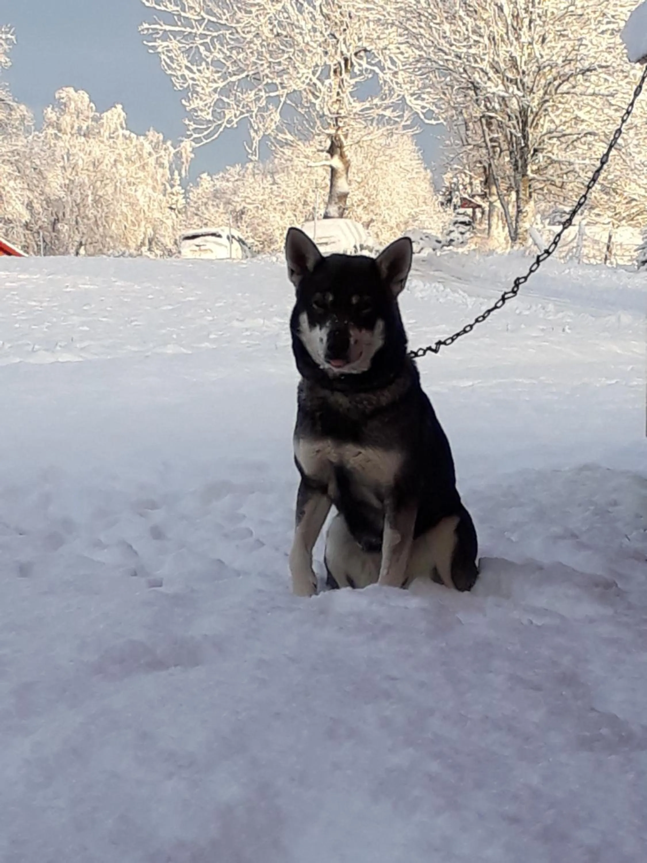 Älgbergets Bed & Breakfast