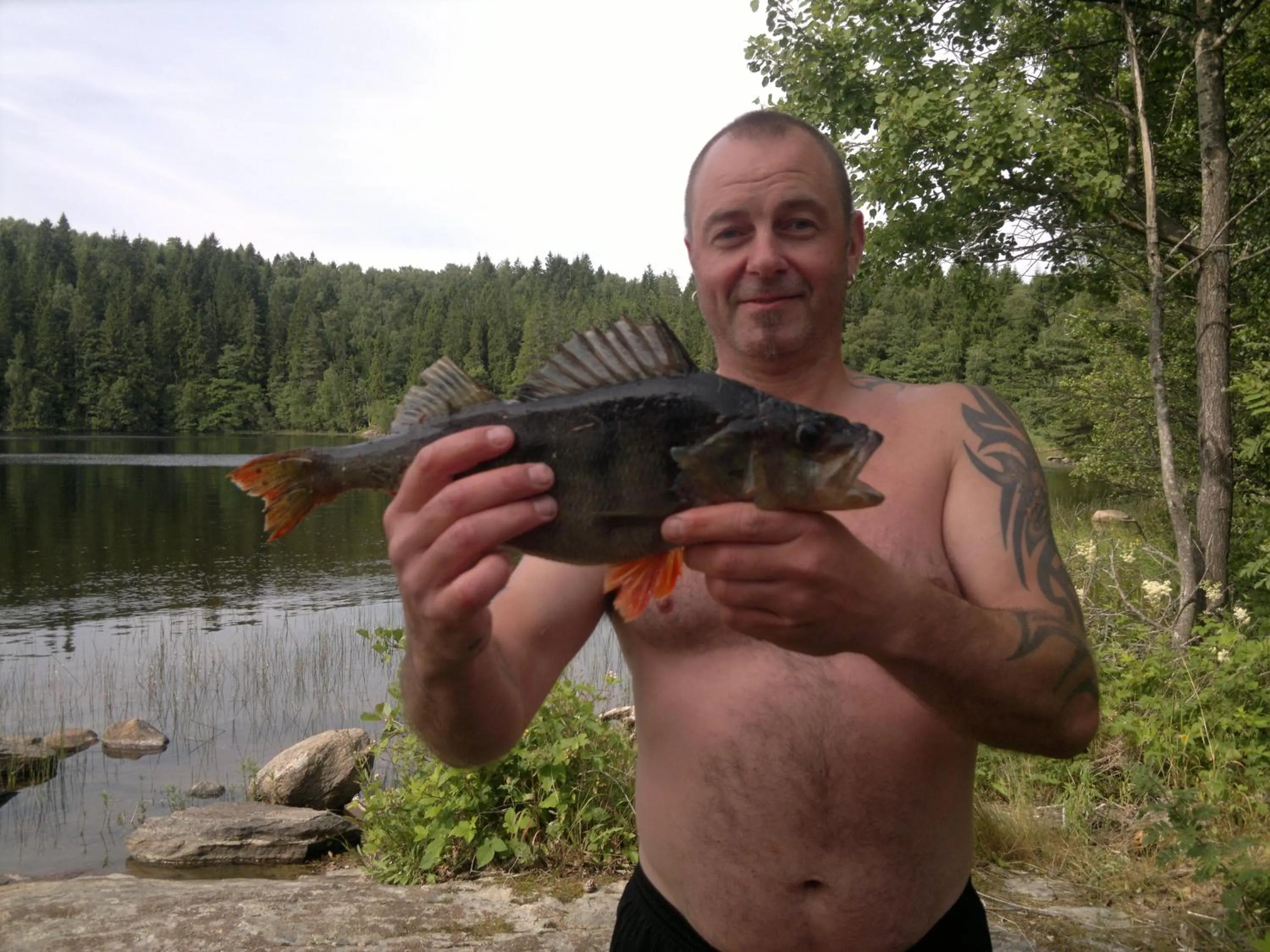 Animals in Älgbergets Bed & Breakfast