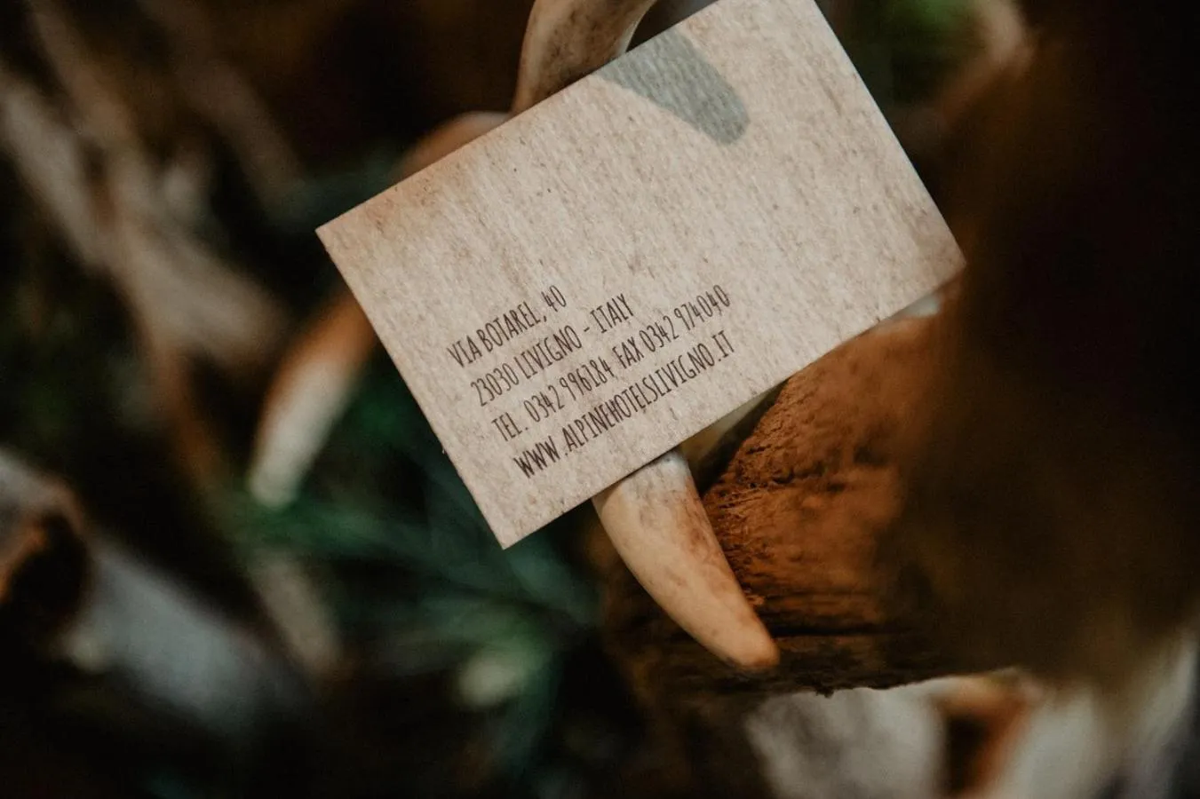 Decorative detail in Hotel Larice