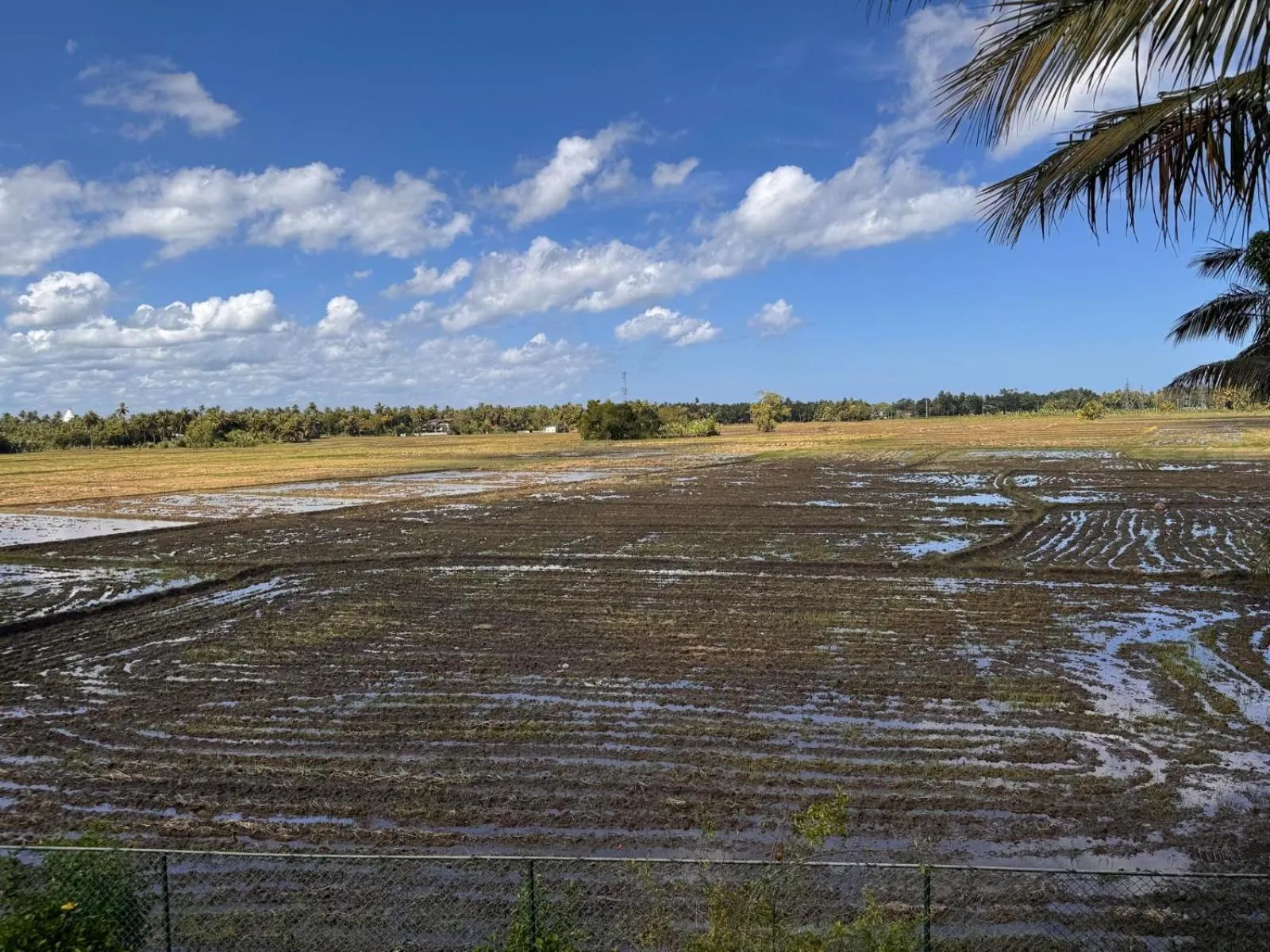 Lavender Home Yala Safari
