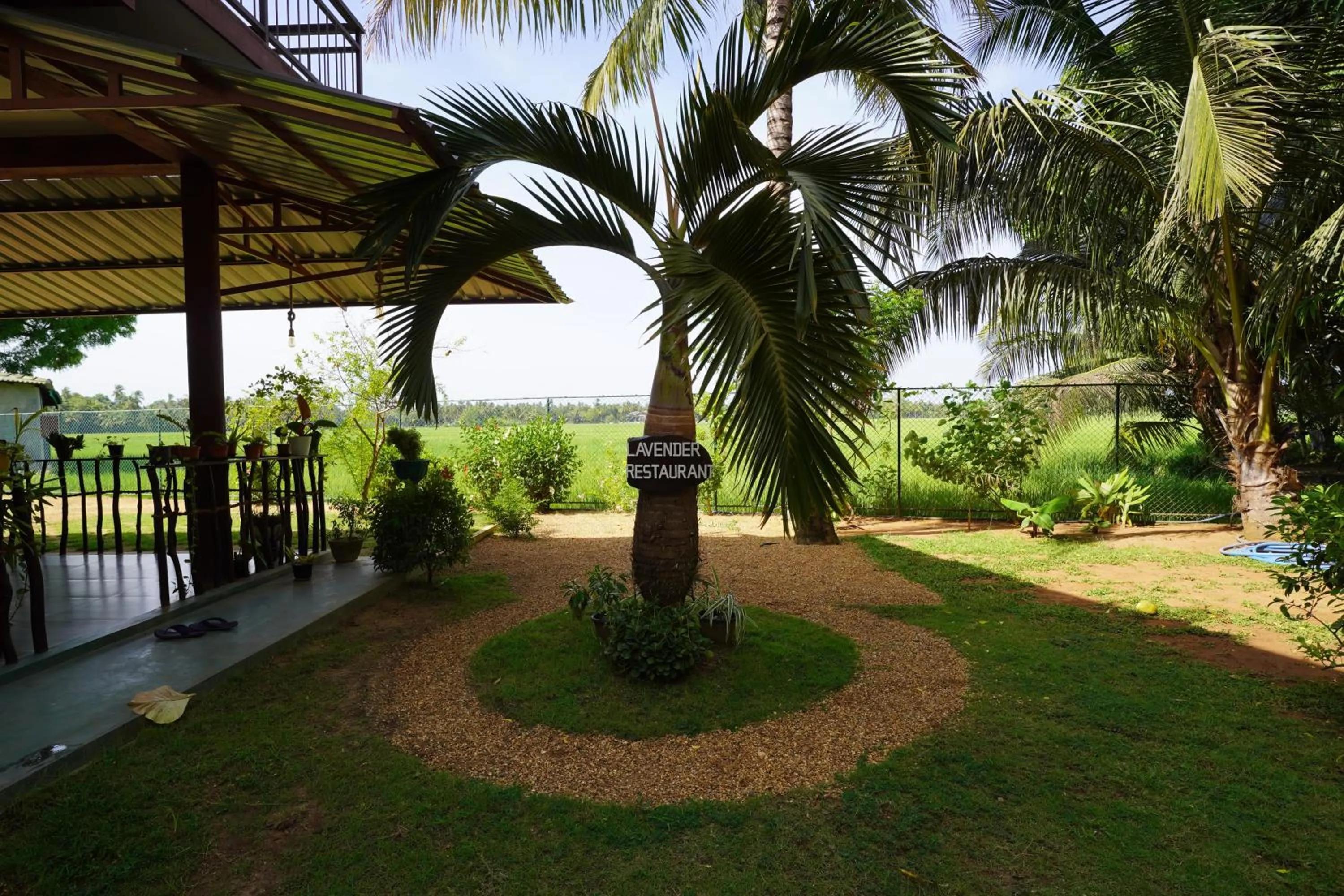 Lavender Home Yala Safari