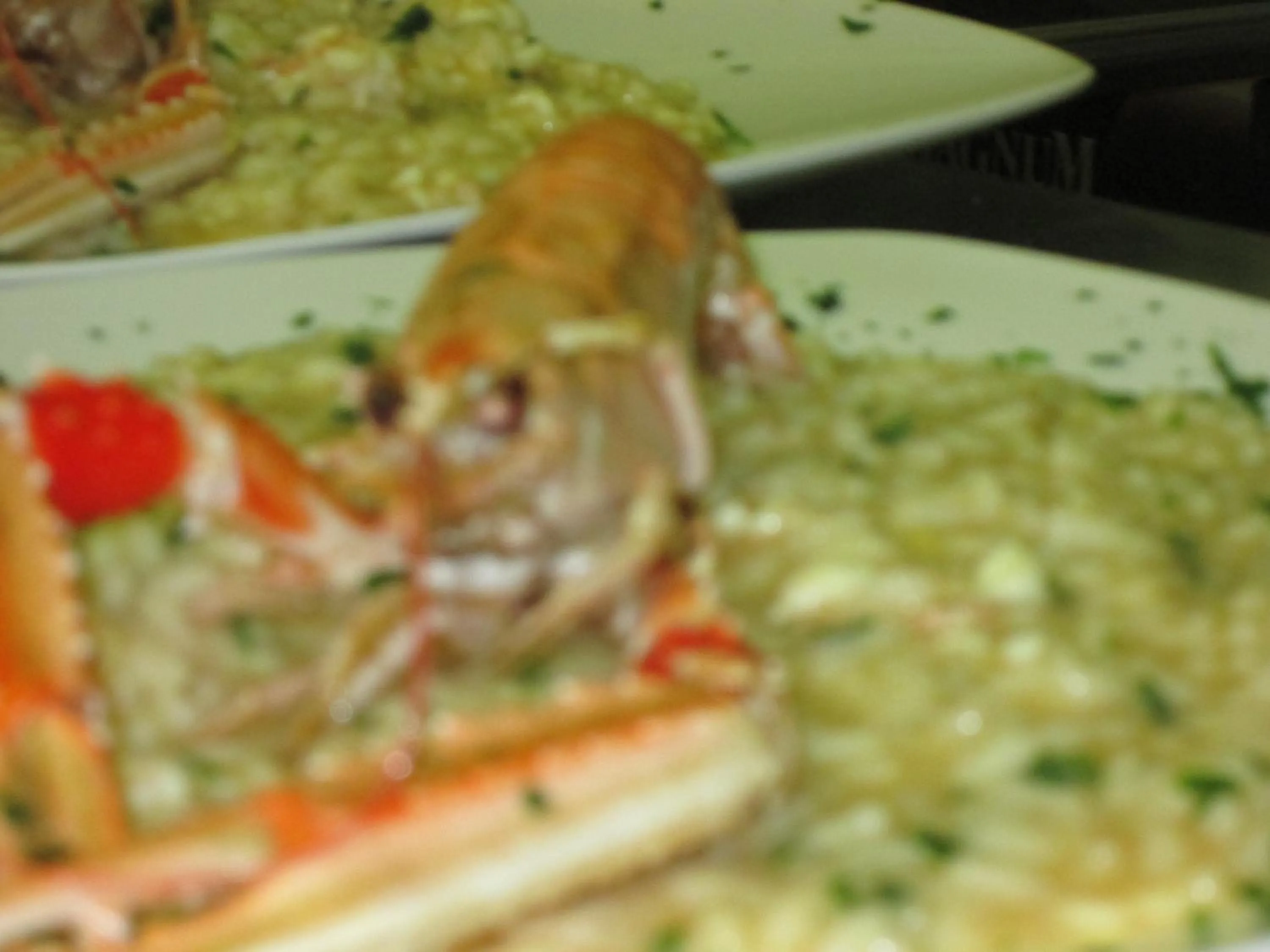 Other in Albergo Montenegro