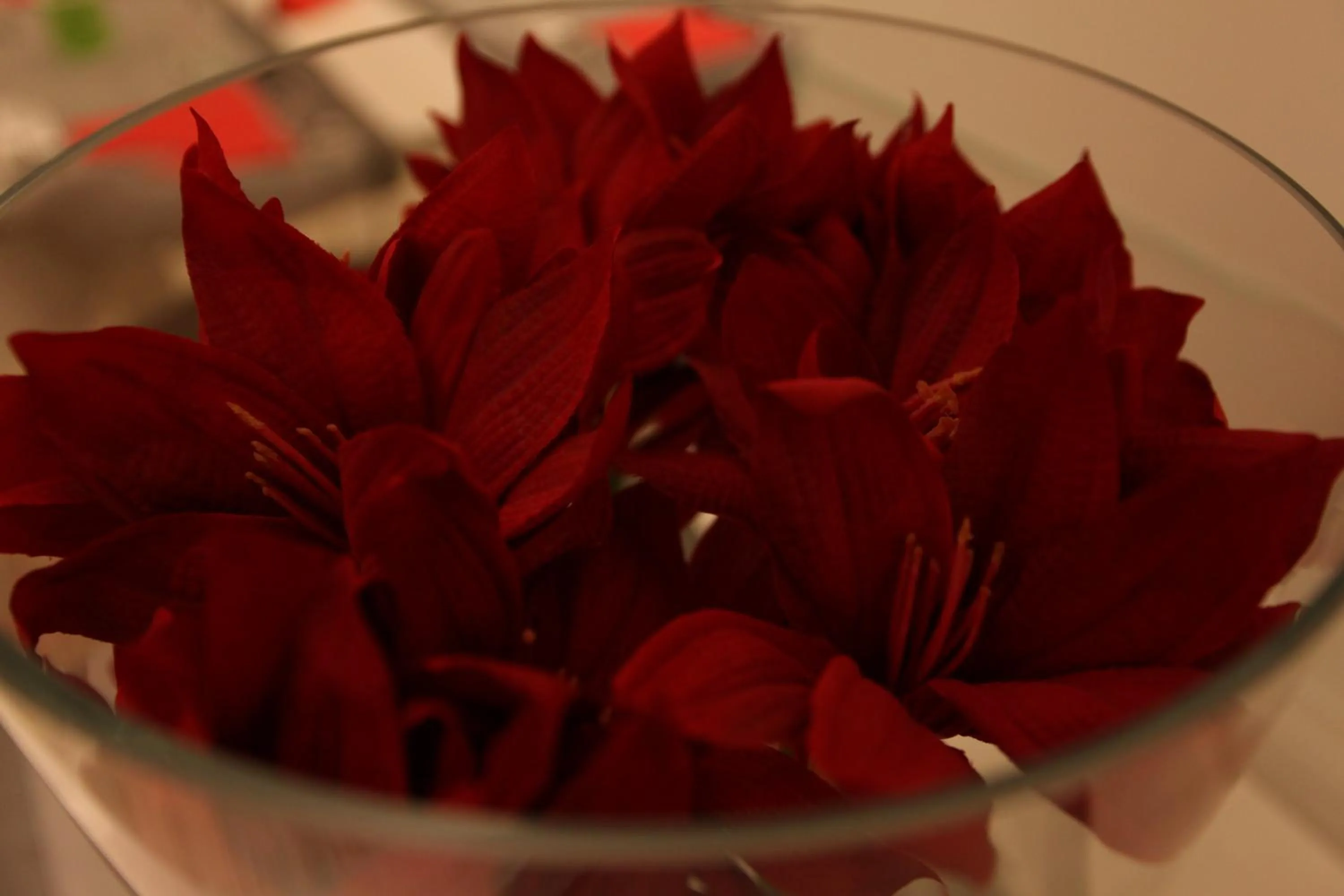 Off site in Hotel Fantasy