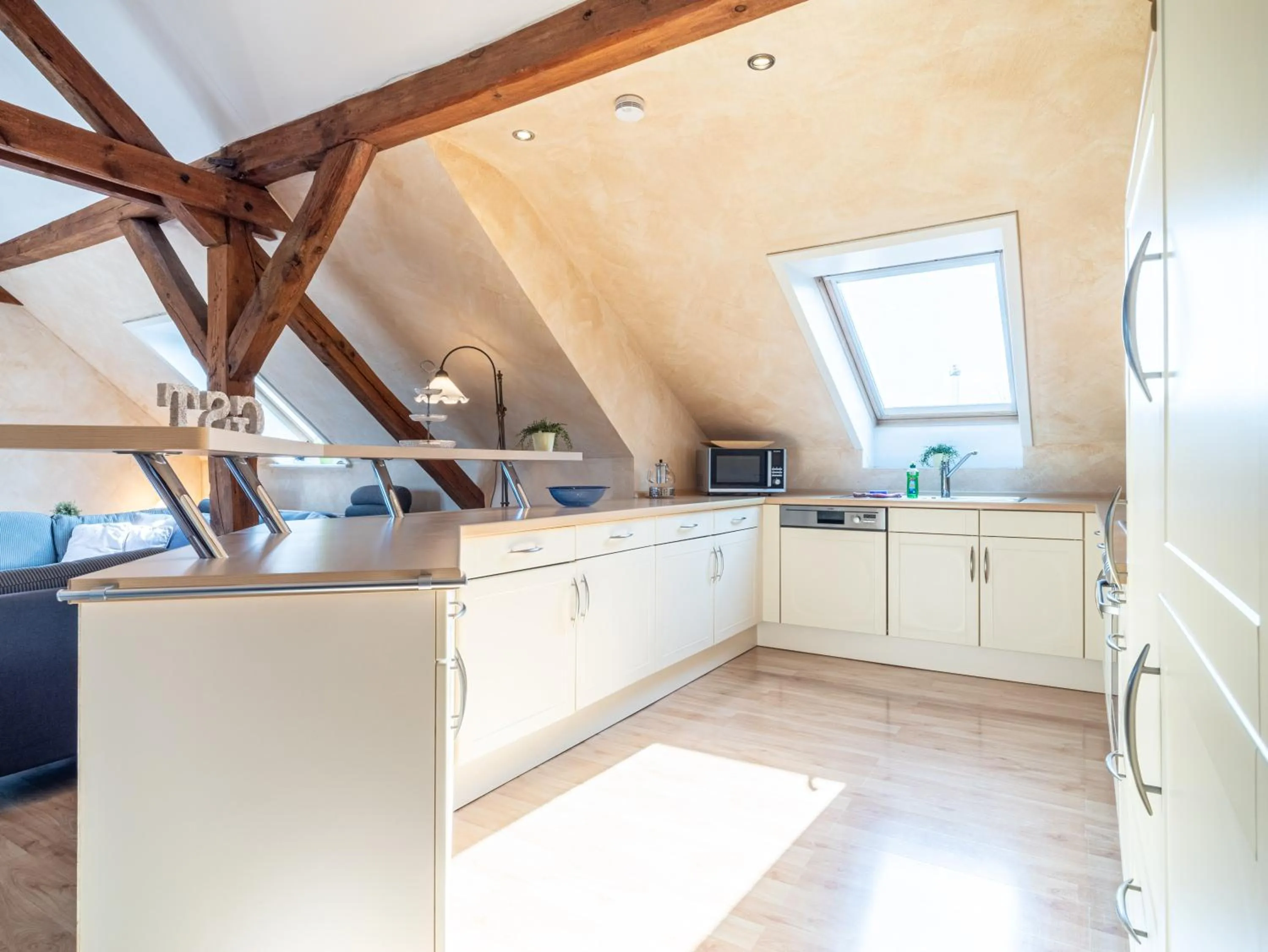 Kitchen or kitchenette in Hotel Stone