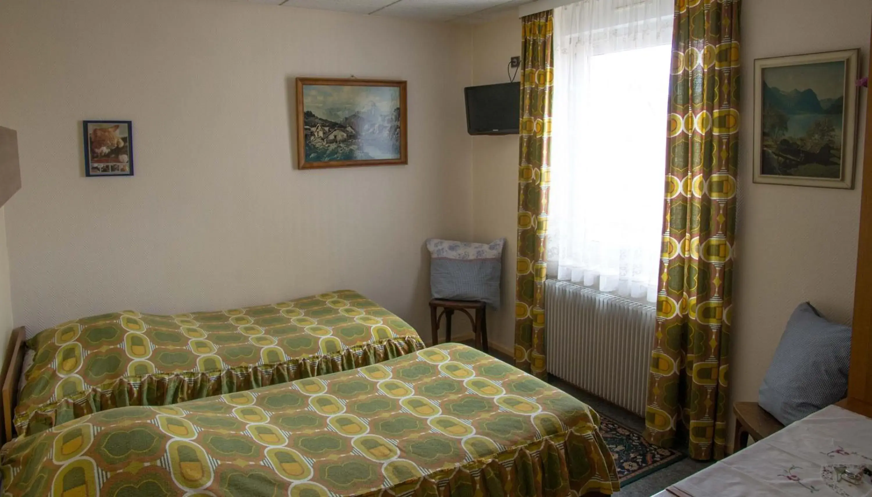 Double Room - single occupancy in Hôtel de Bâle Double Room - single occupancy in Hôtel de Bâle