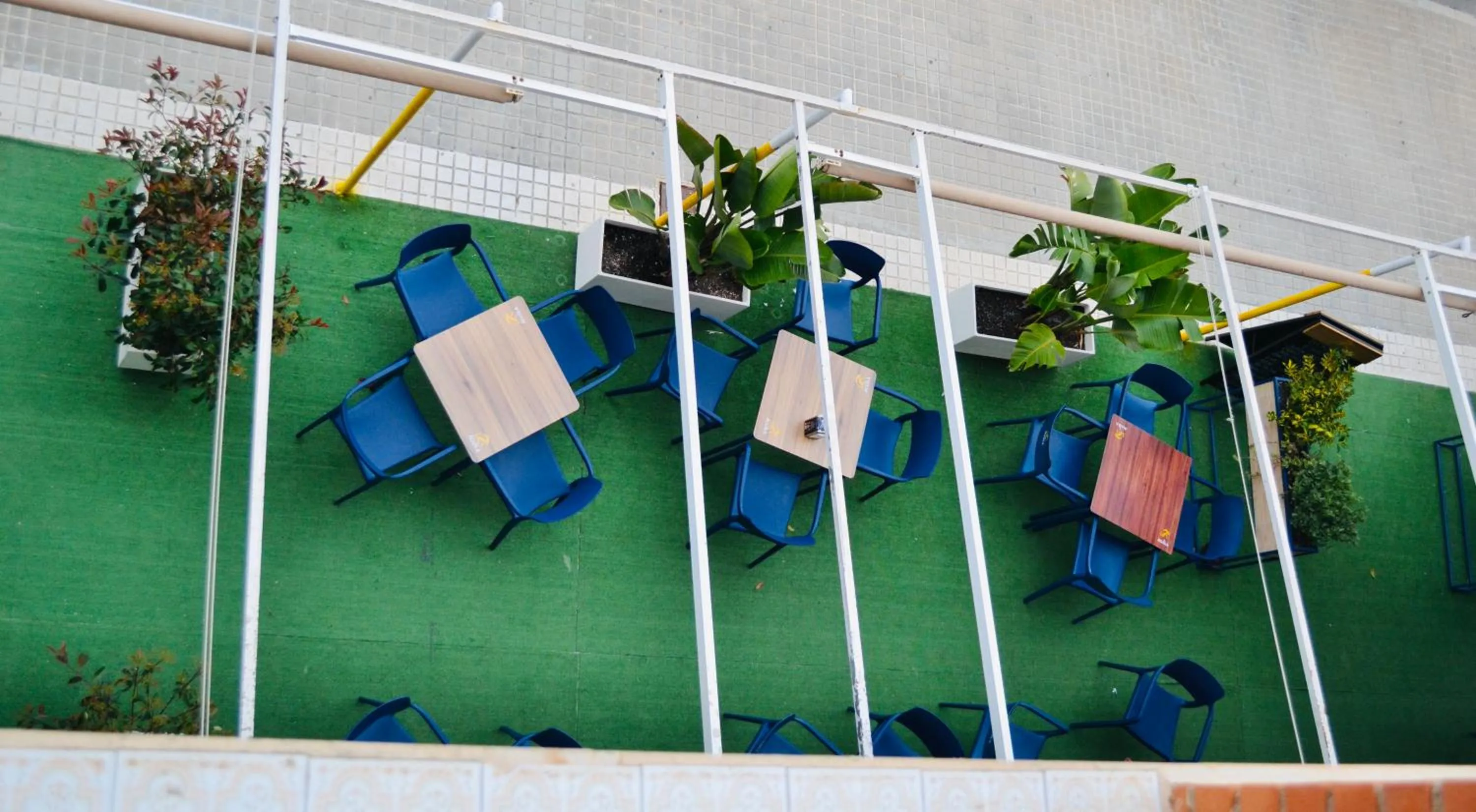 Garden in Hotel Montemar