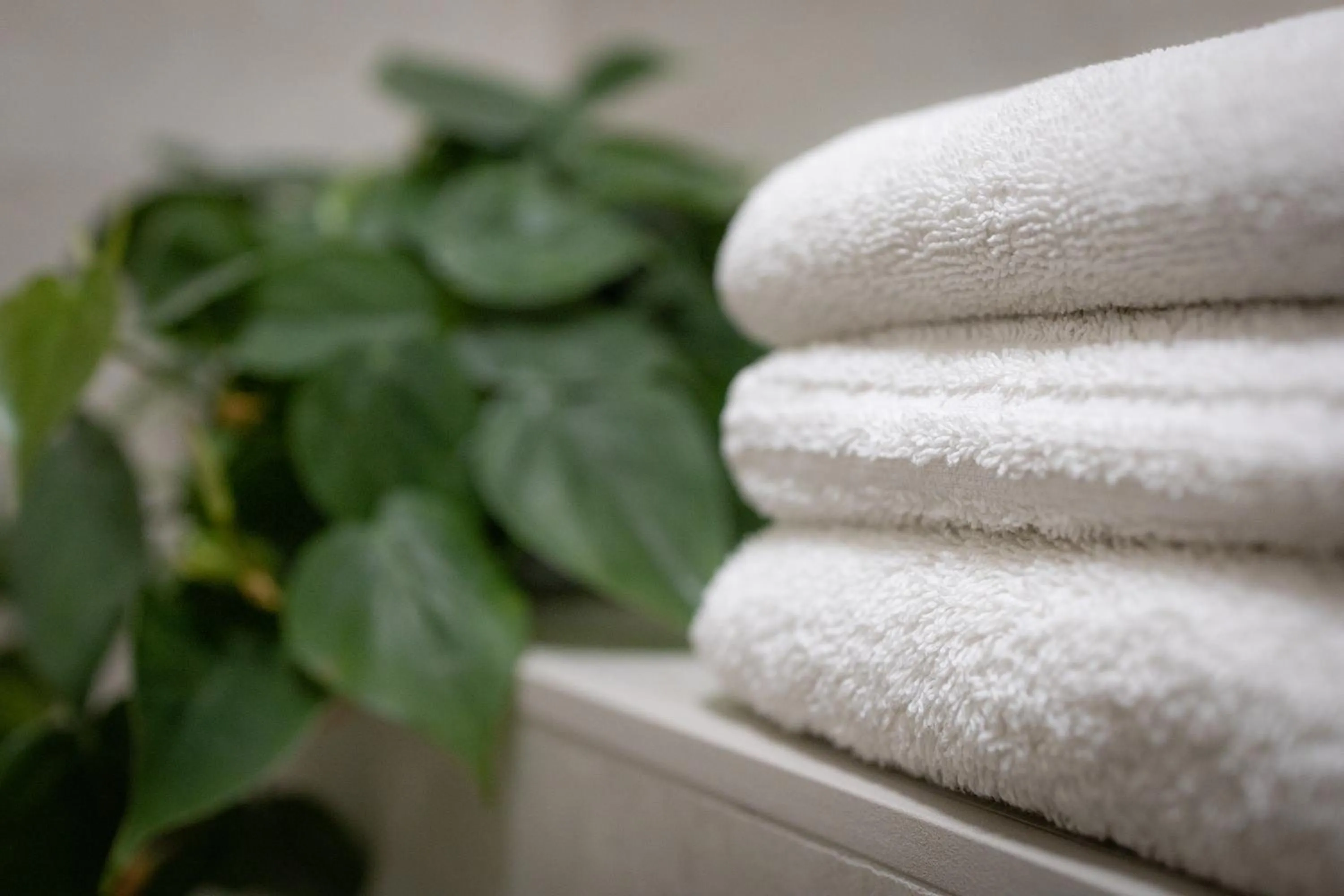 towels in Sunset B&B