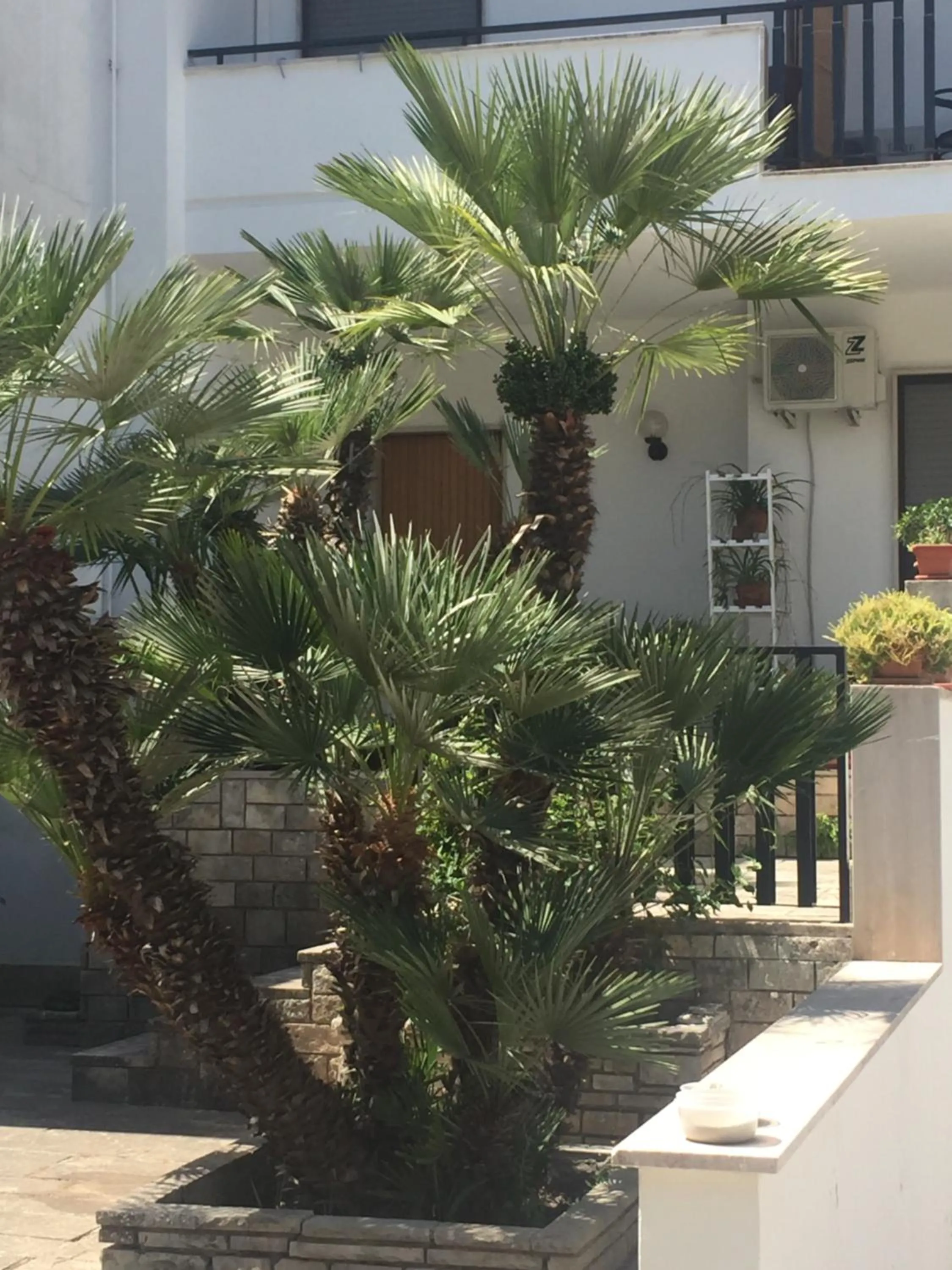 Property building in A casa di Gio