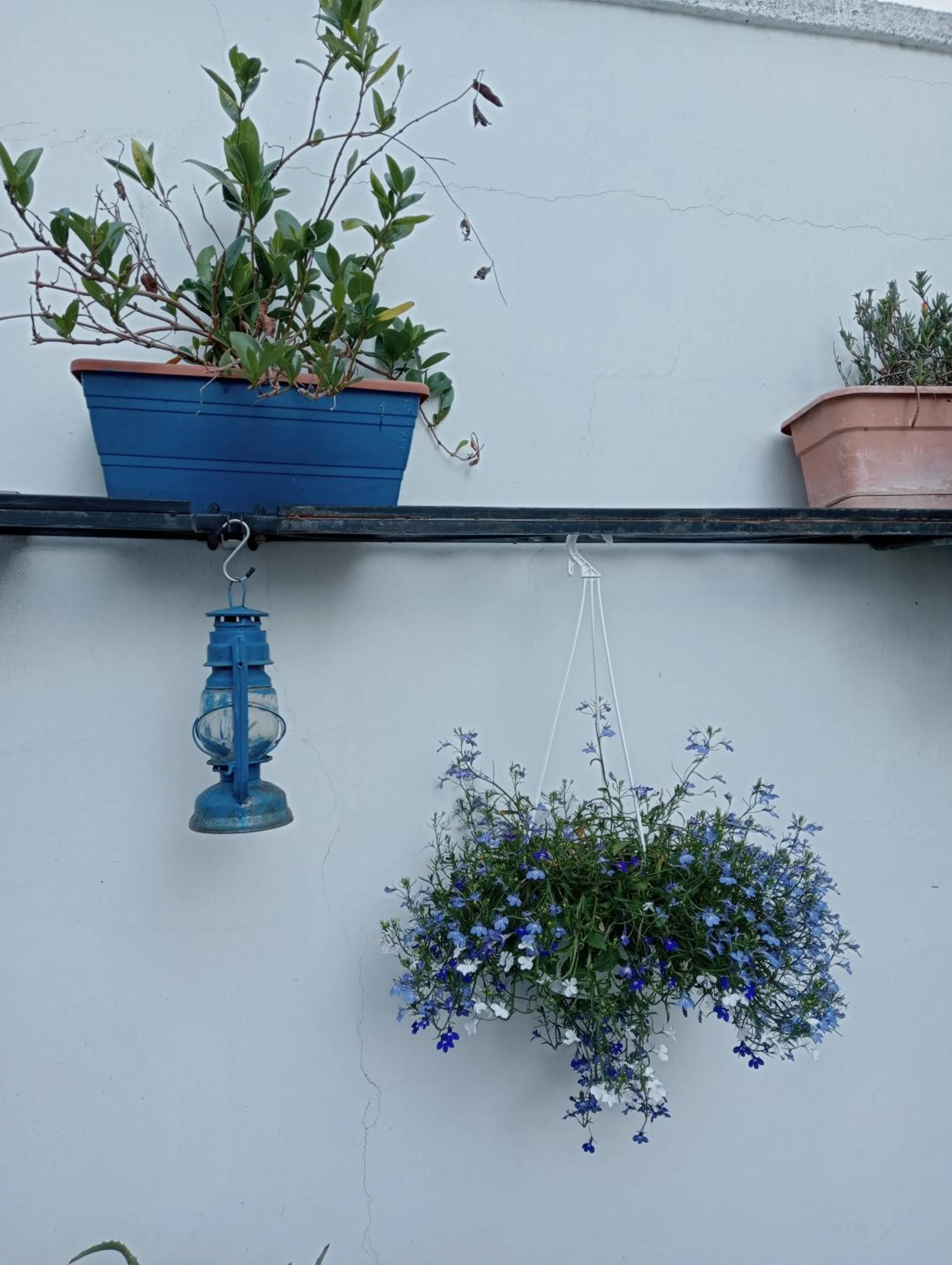 Day in A casa di Gio