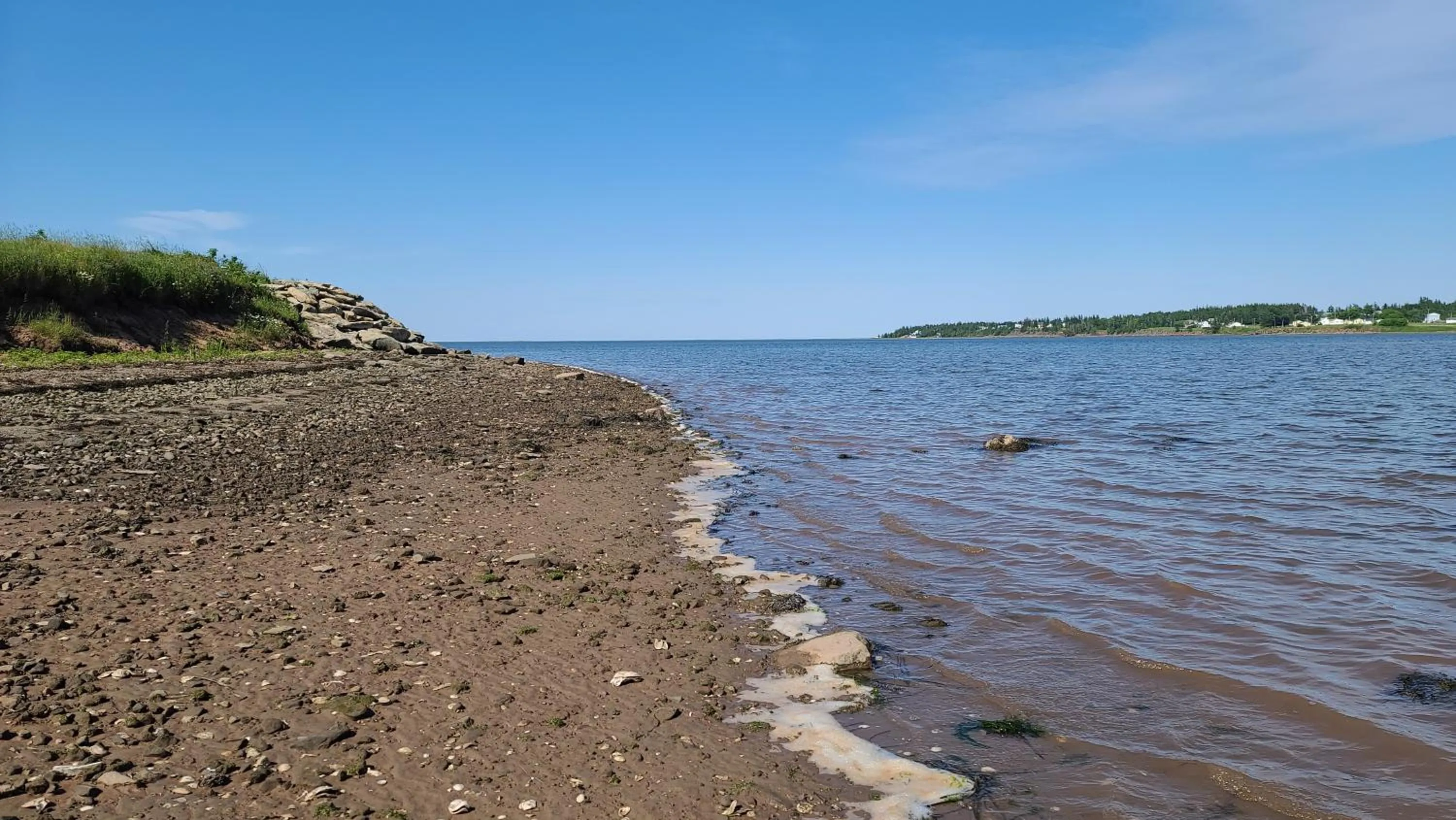 Natural landscape in Bouctouche Bay Inn