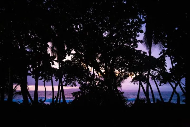 Natural landscape in La Ponderosa