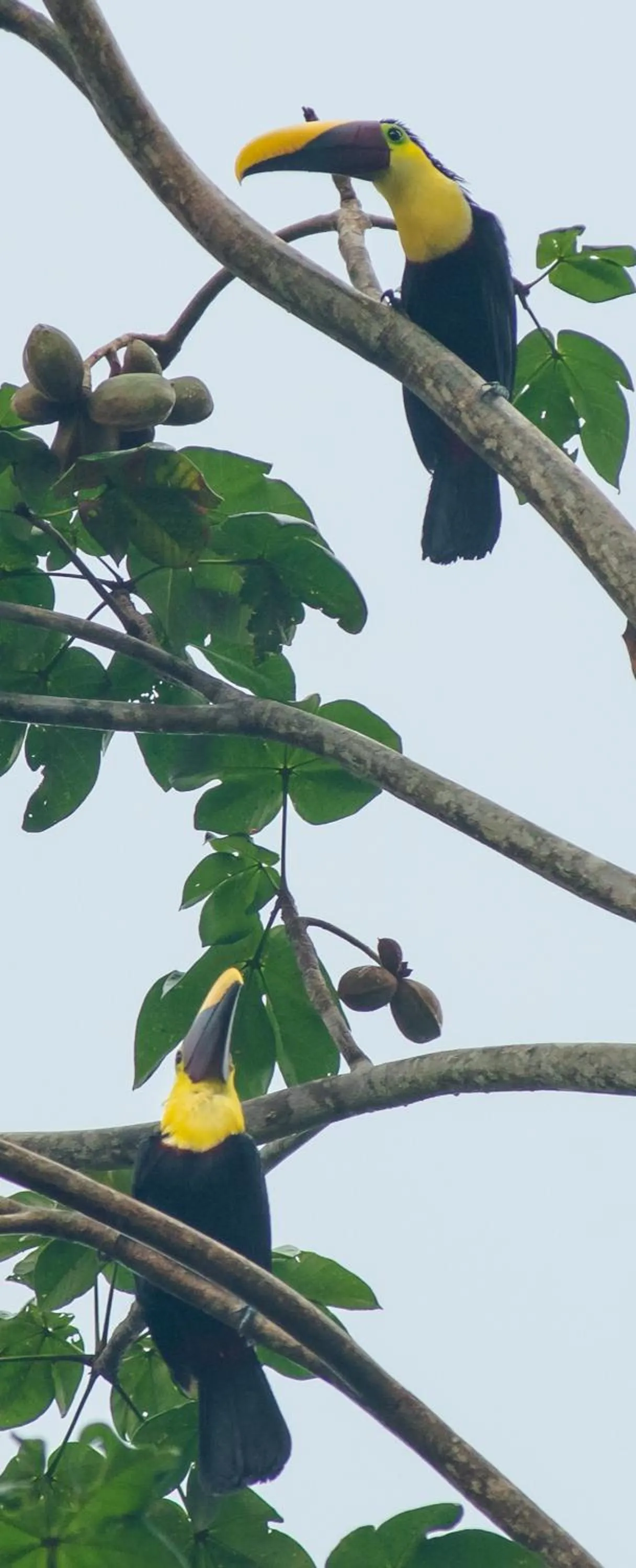 Natural landscape in La Ponderosa