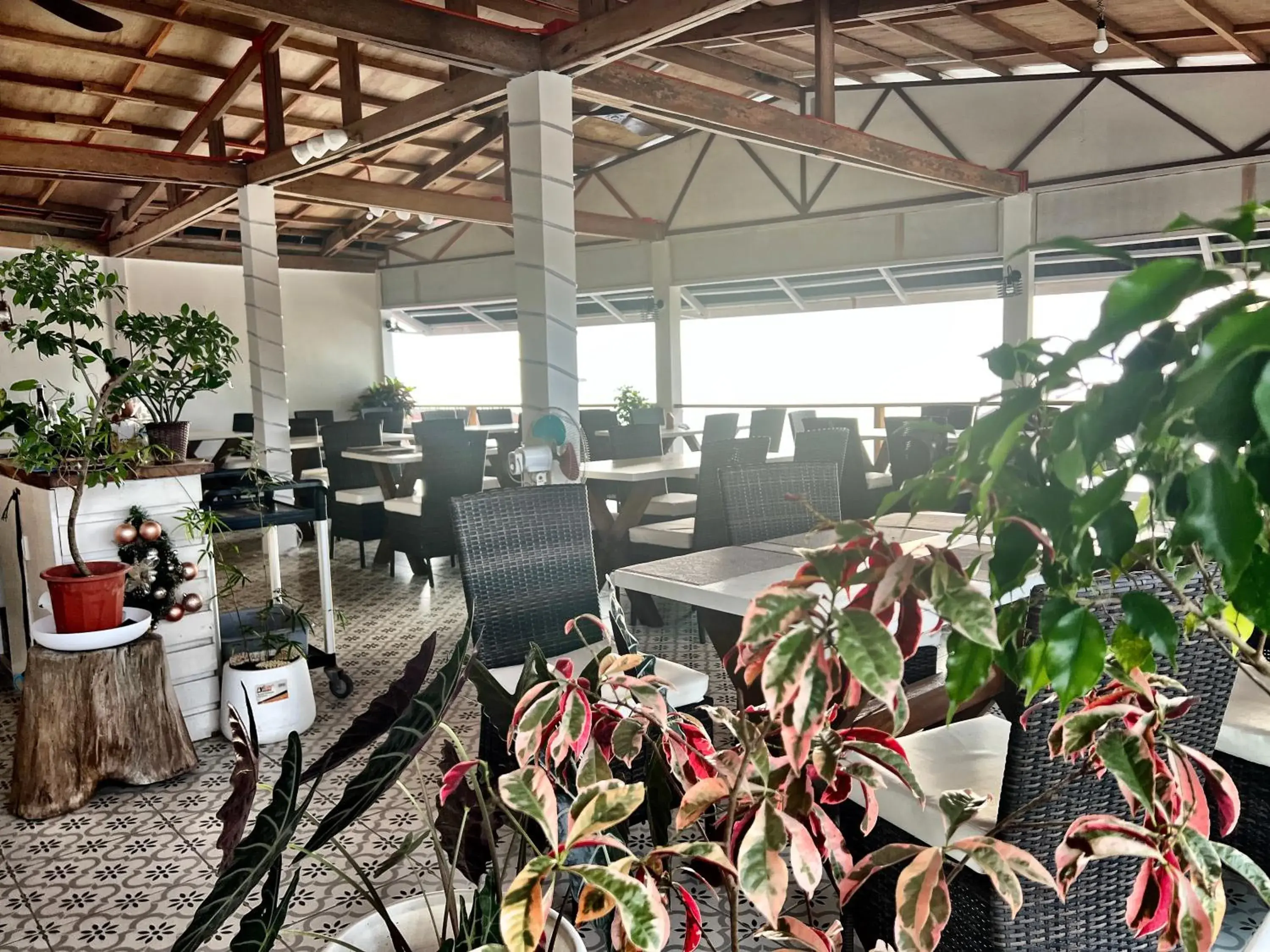 Restaurant/places to eat in Neptune Diving Resort Moalboal Restaurant/places to eat in Neptune Diving Resort Moalboal