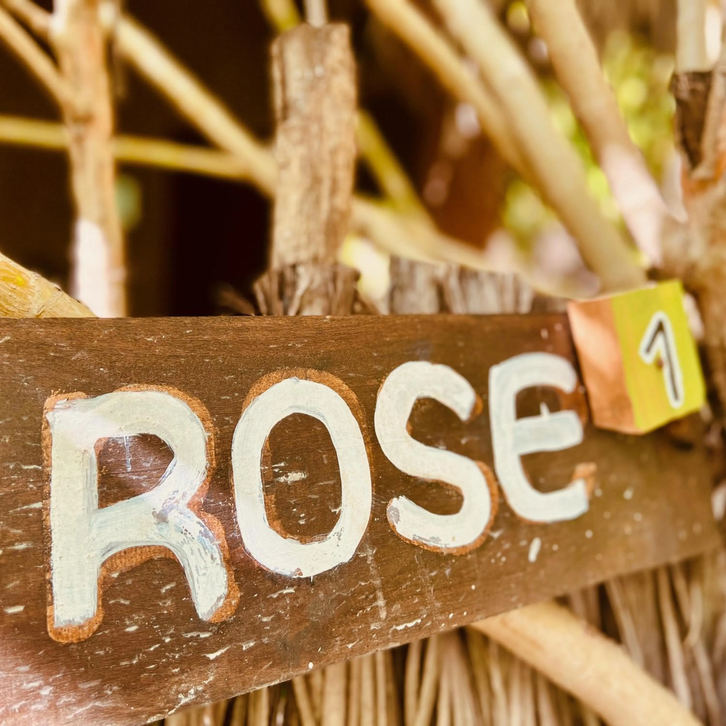 Day in Wind Blend Kite Resort