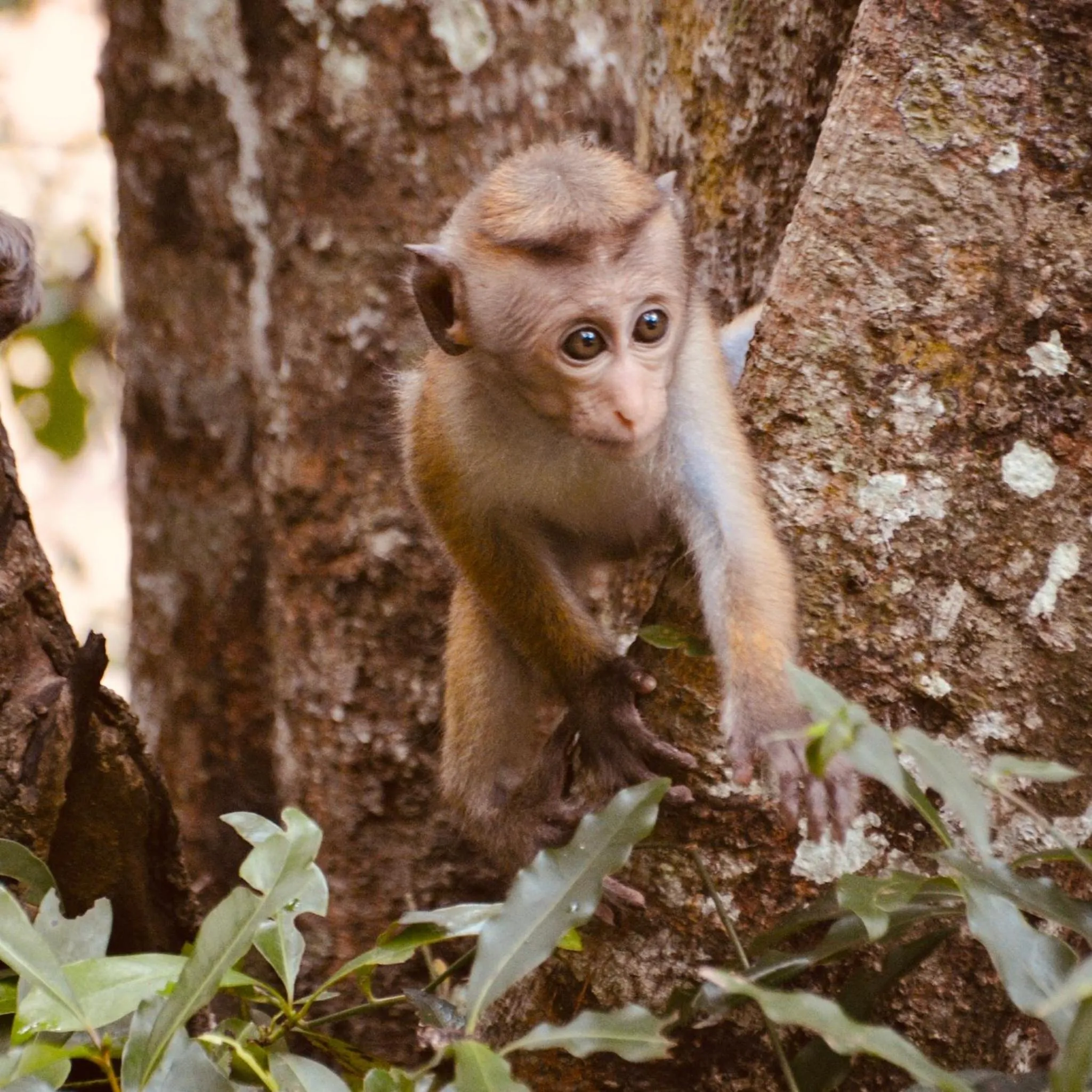 Natural landscape in Wind Blend Kite Resort