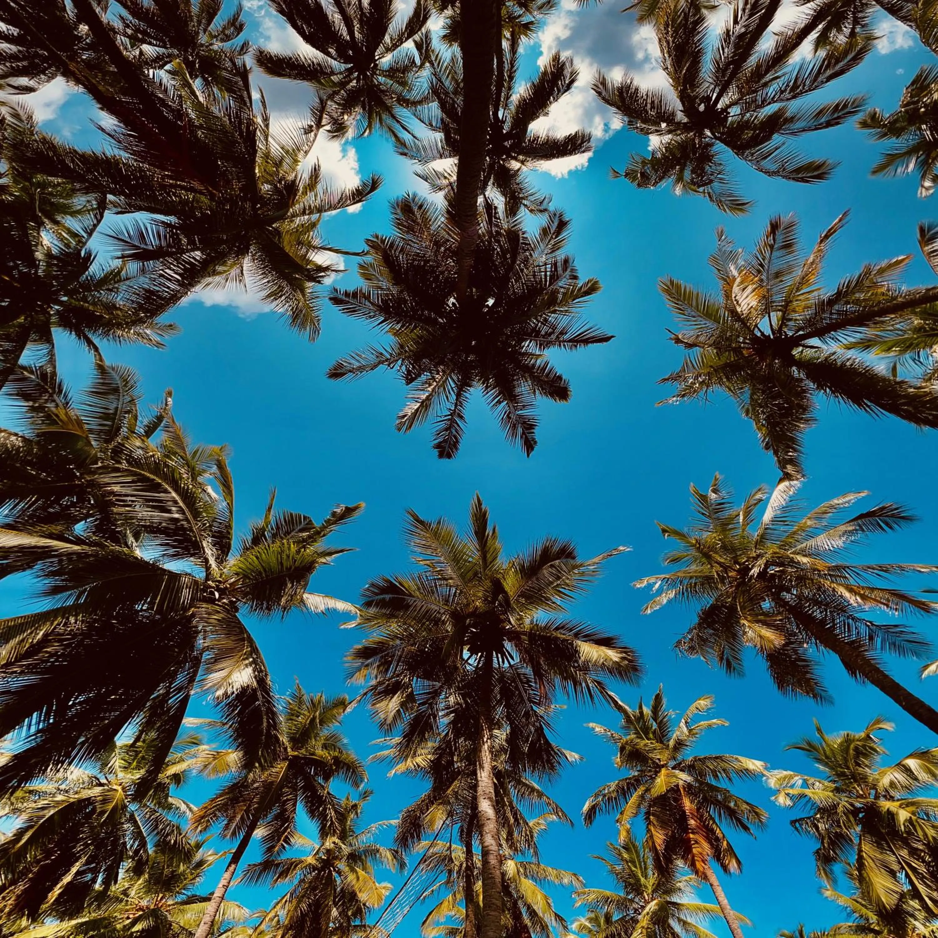 Natural landscape in Wind Blend Kite Resort