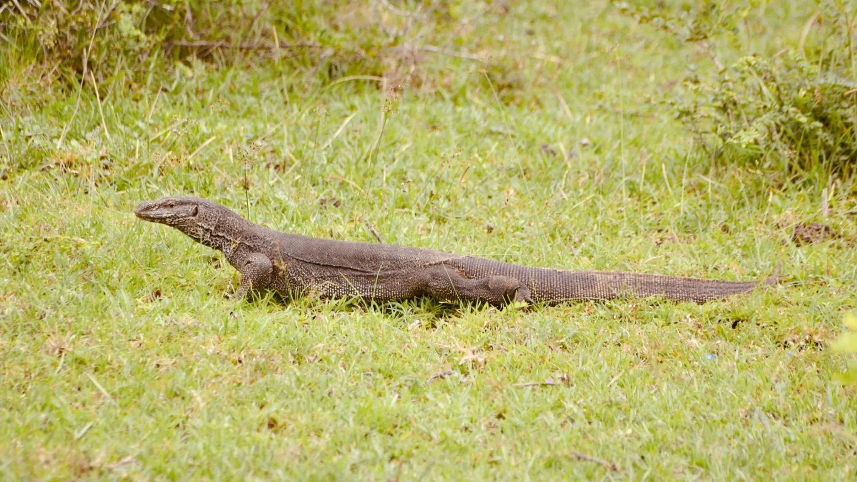 Natural landscape in Wind Blend Kite Resort