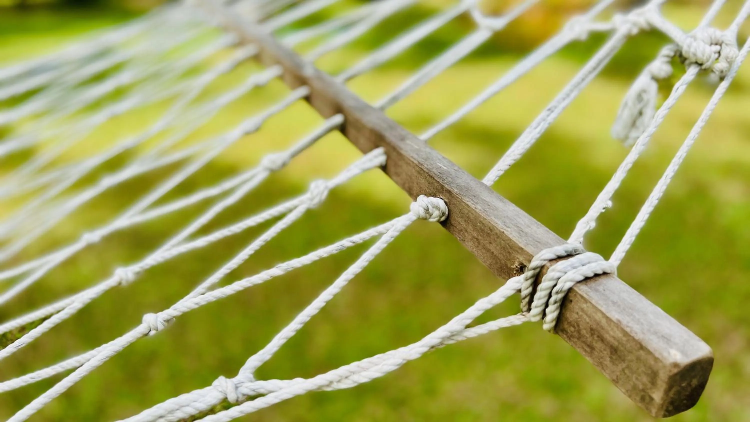 Day in Wind Blend Kite Resort