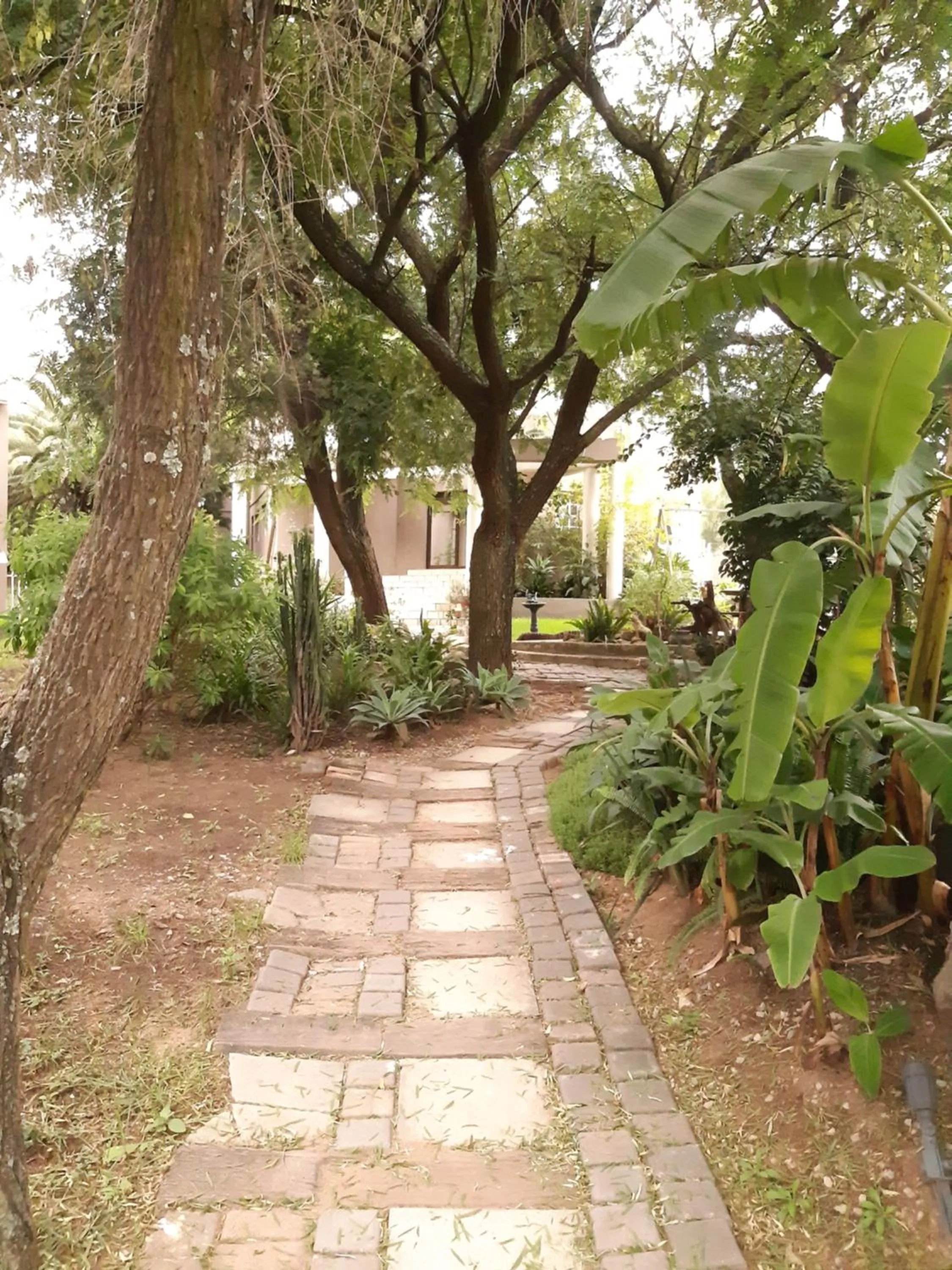 Garden view in Villa Via Hotel Midrand