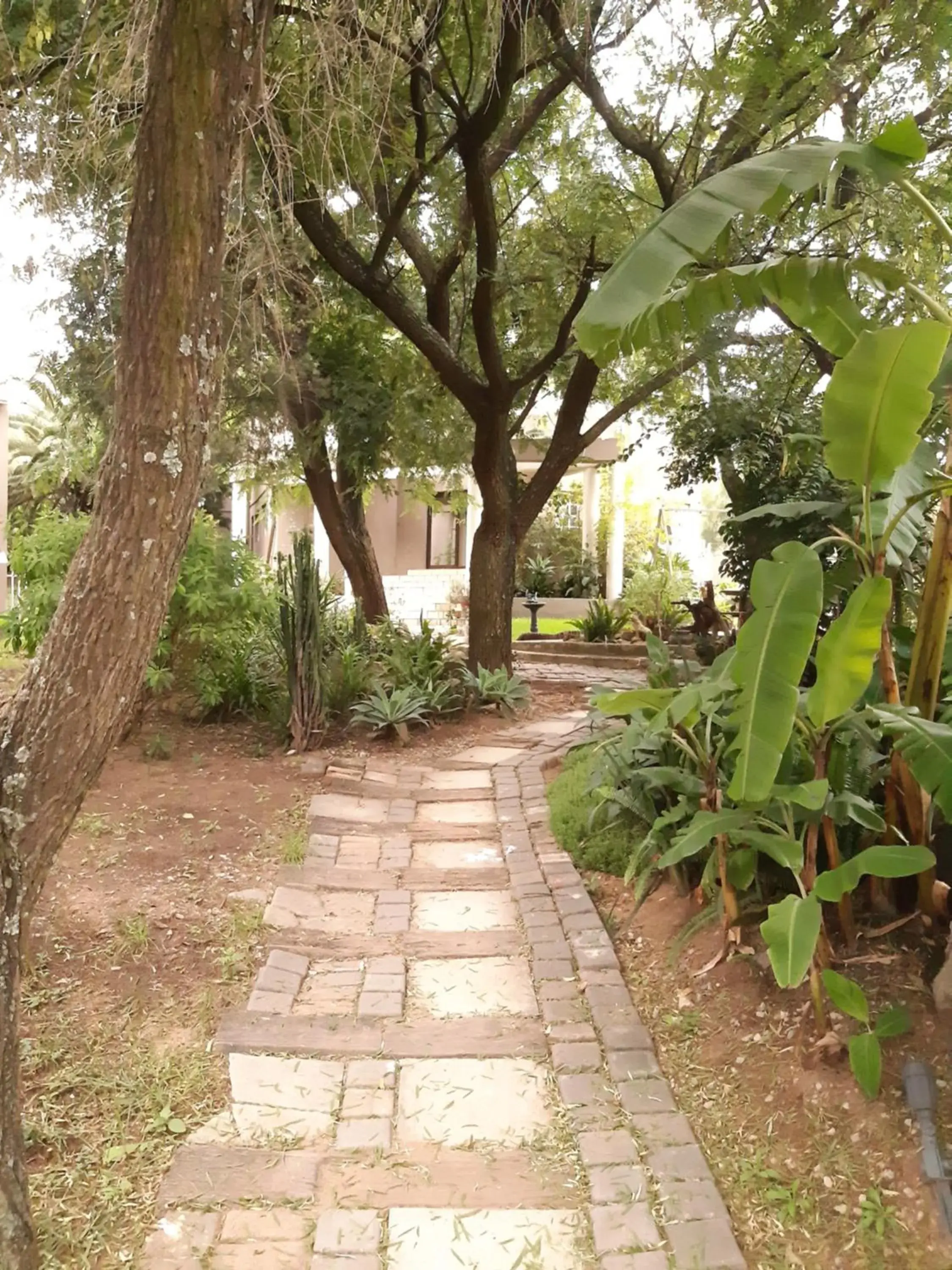 Garden view in Villa Via Hotel Midrand Garden view in Villa Via Hotel Midrand