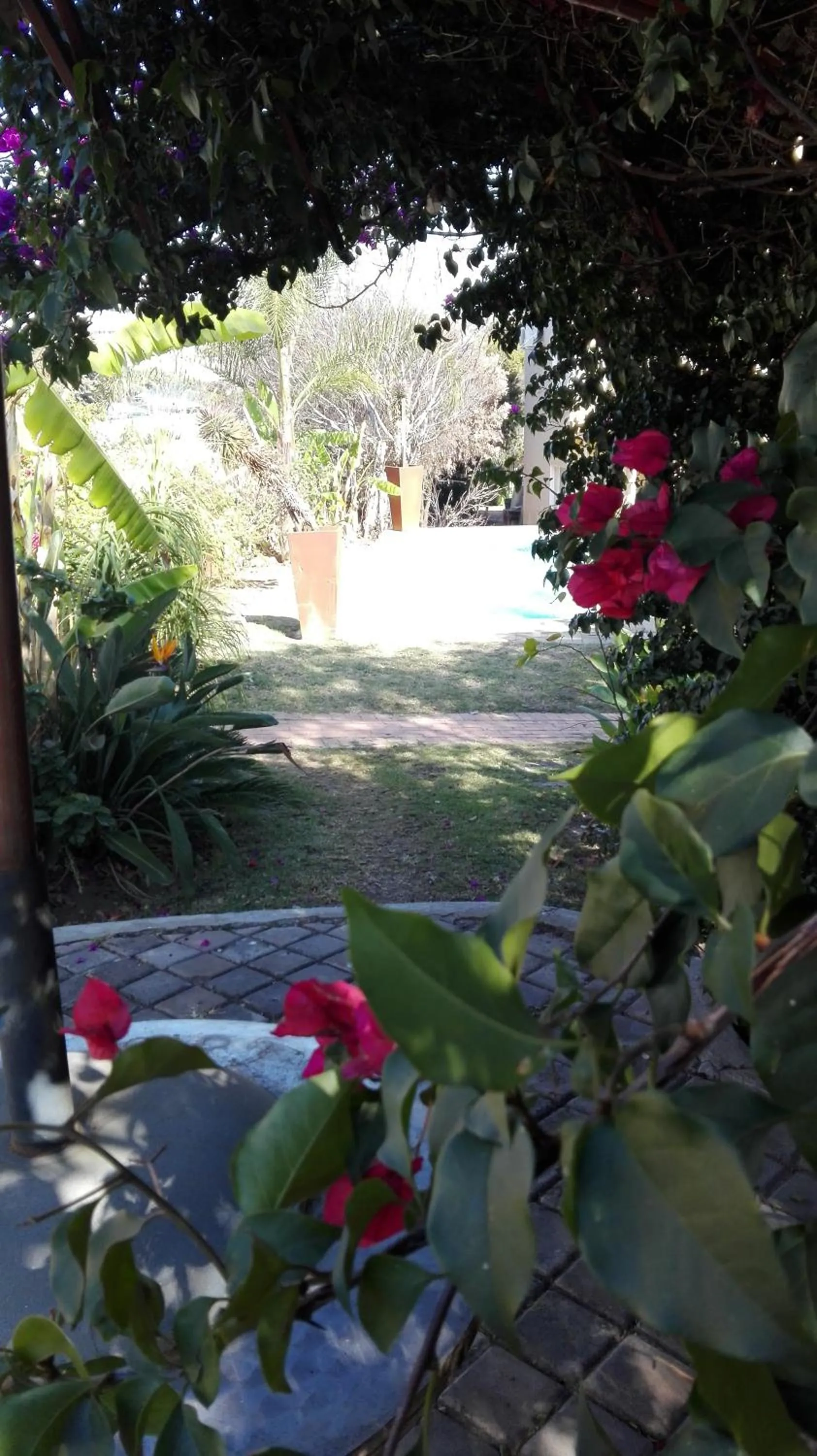 Garden in Villa Via Hotel Midrand