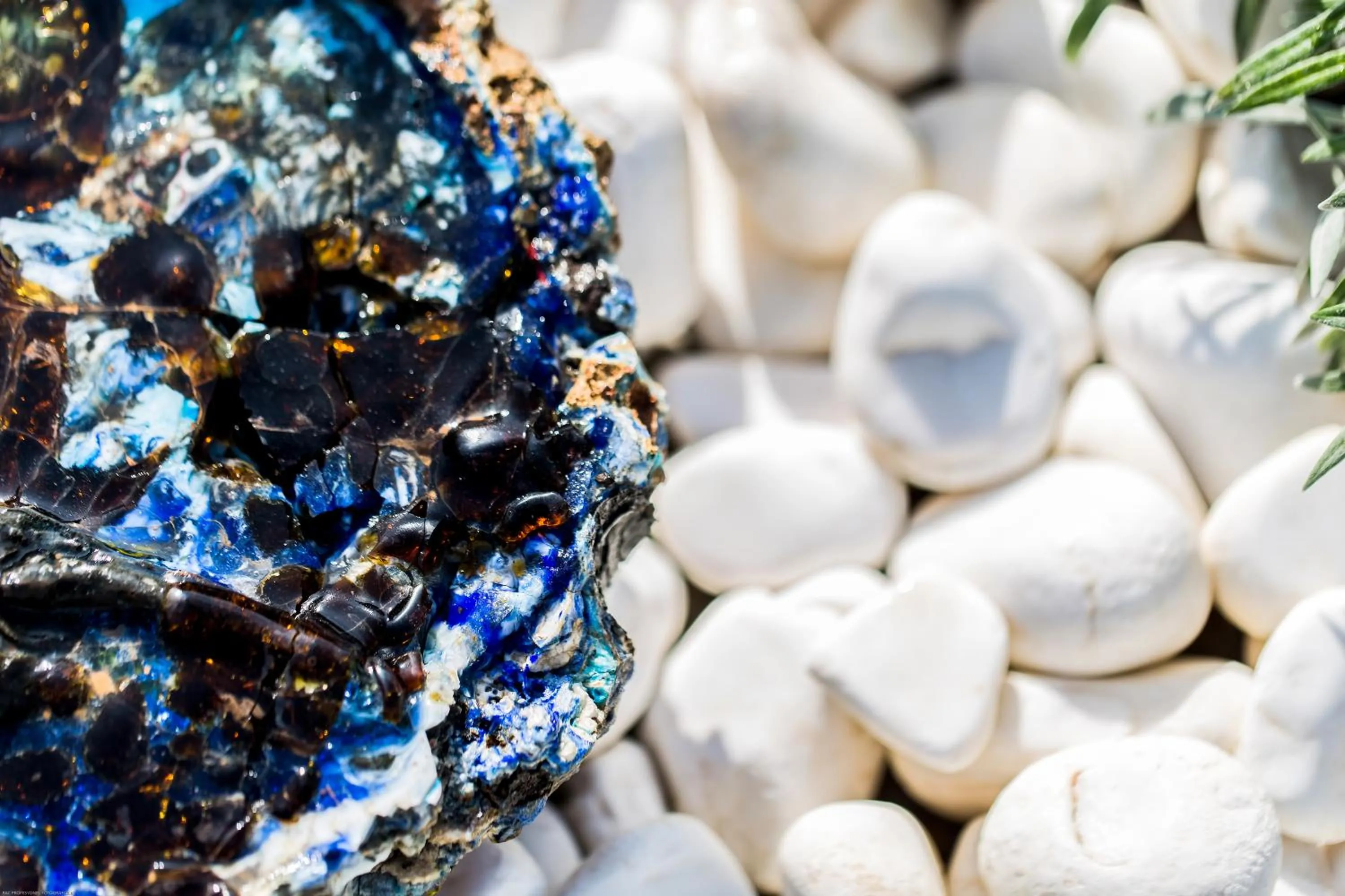 Other in Alacati Kapari Hotel - Special Category