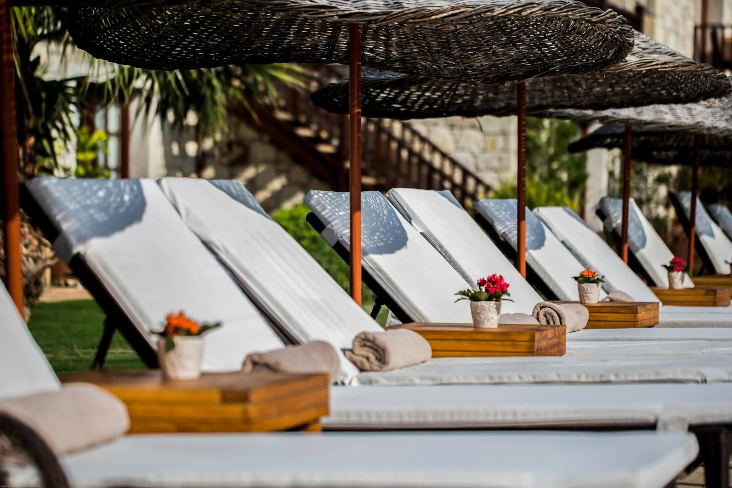 Garden view in Alacati Kapari Hotel - Special Category