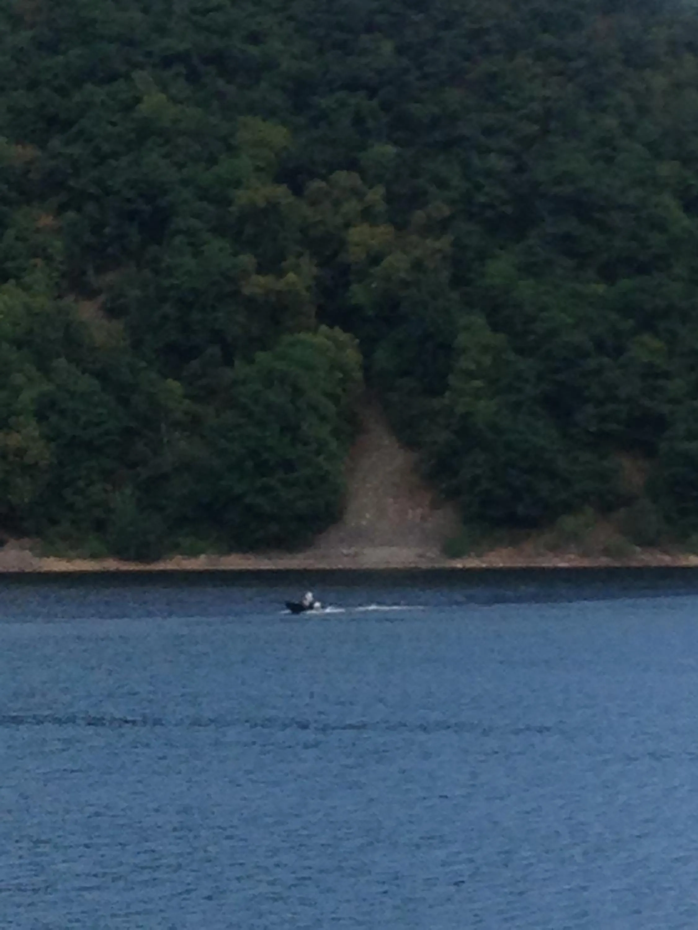 Natural landscape in Hotel bar b'rock