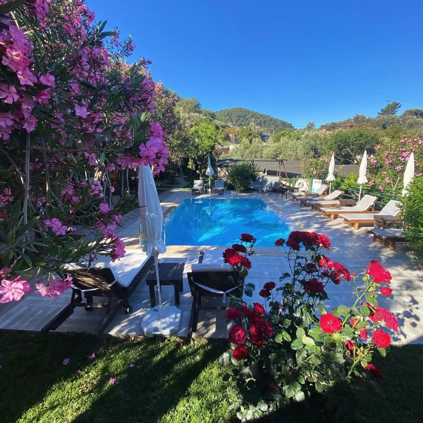 Budget Triple Room in Montenegro Motel Budget Triple Room in Montenegro Motel