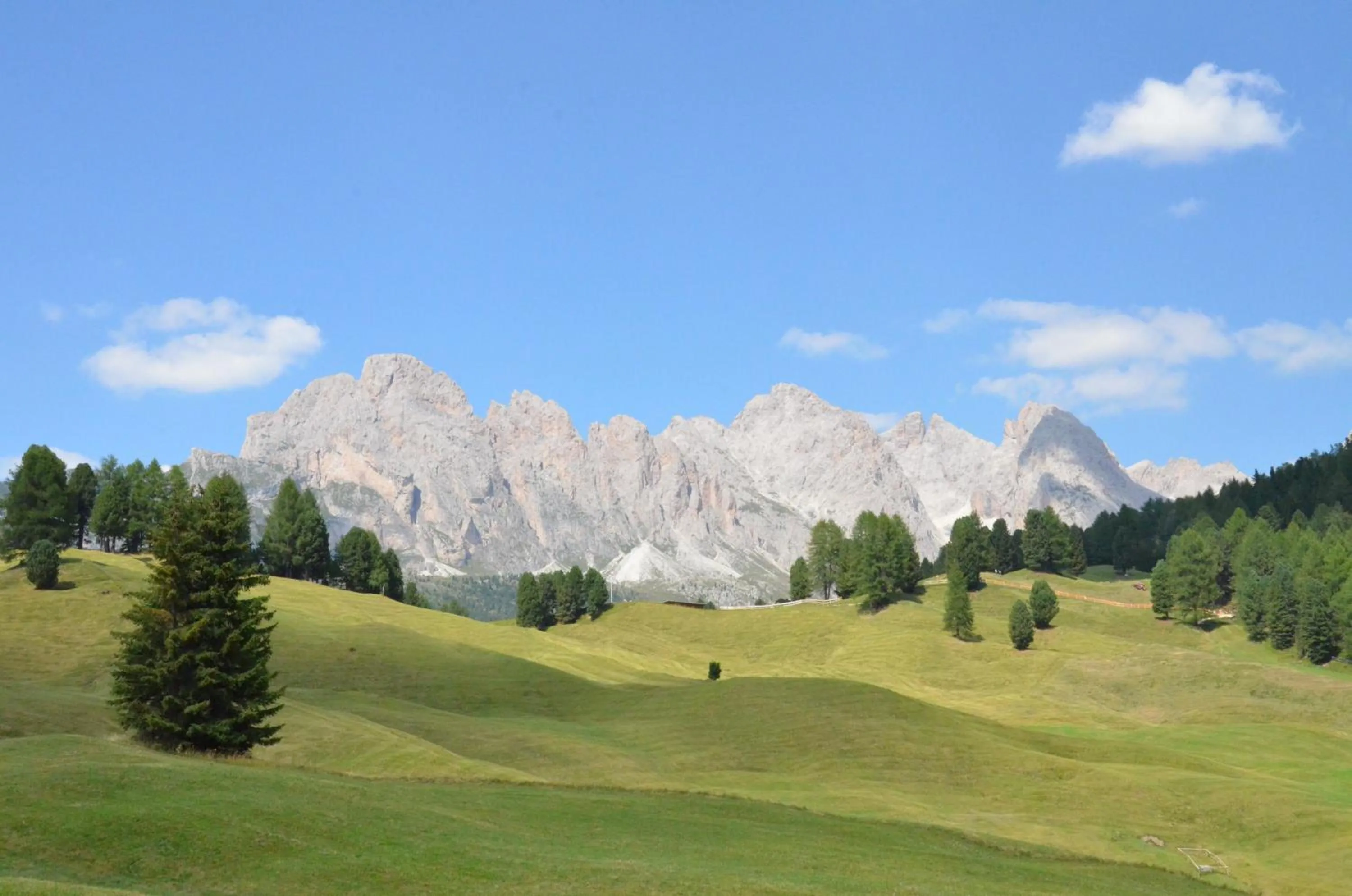 Natural landscape in Hotel Chalet Dlaces