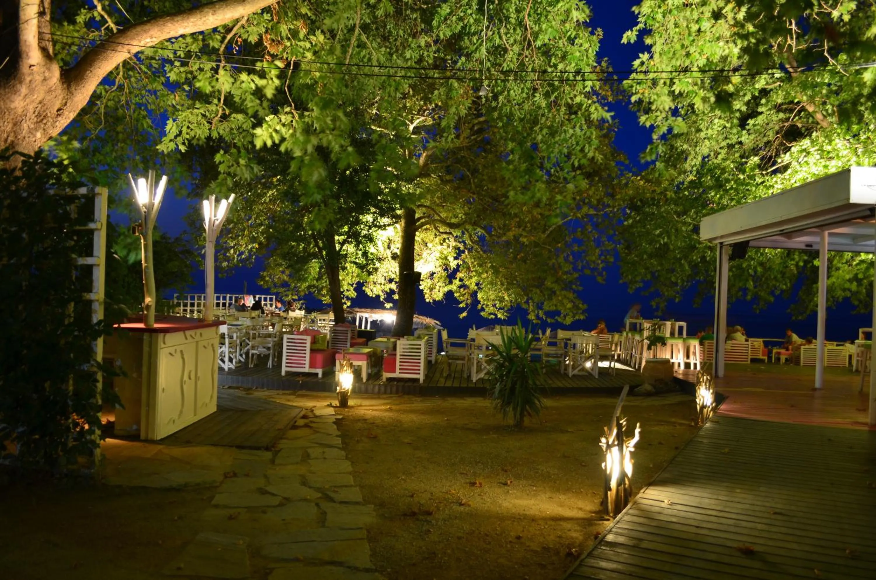 Lounge or bar in Hotel Vlassis