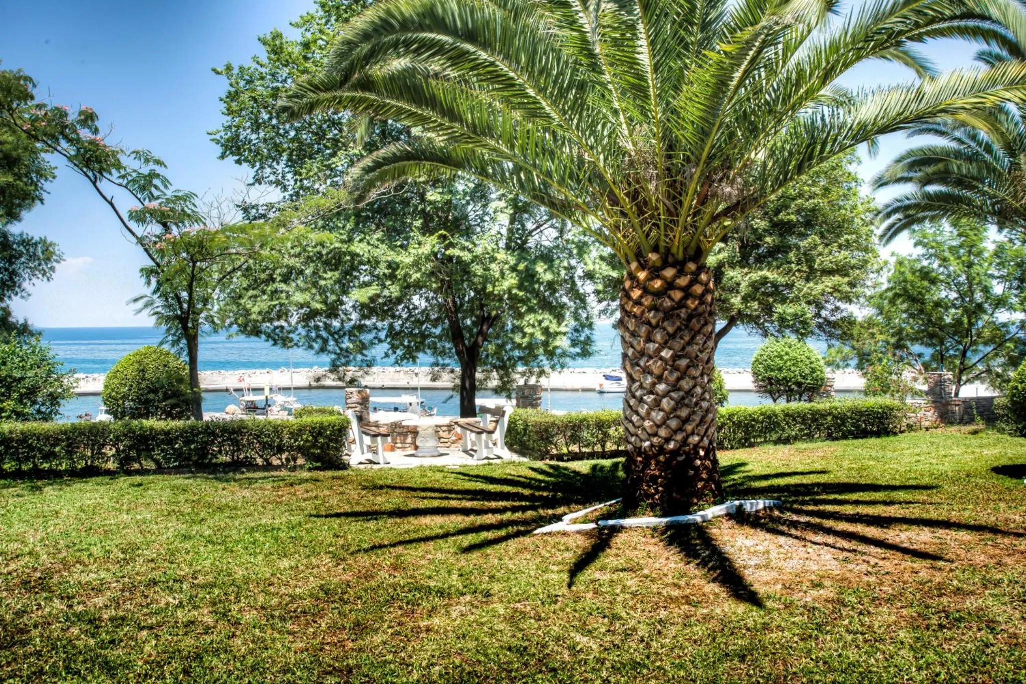 Garden in Hotel Vlassis