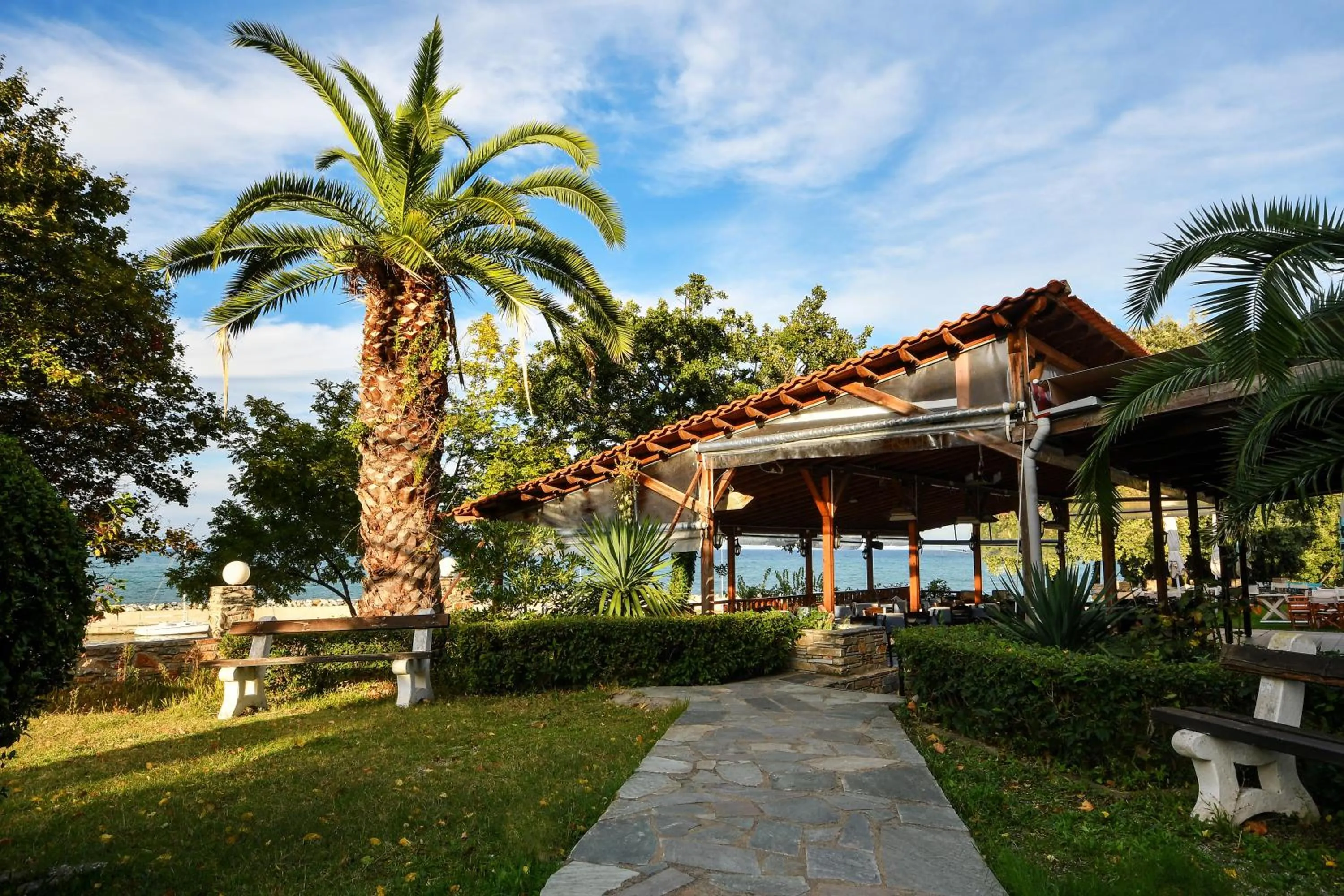 Garden in Hotel Vlassis