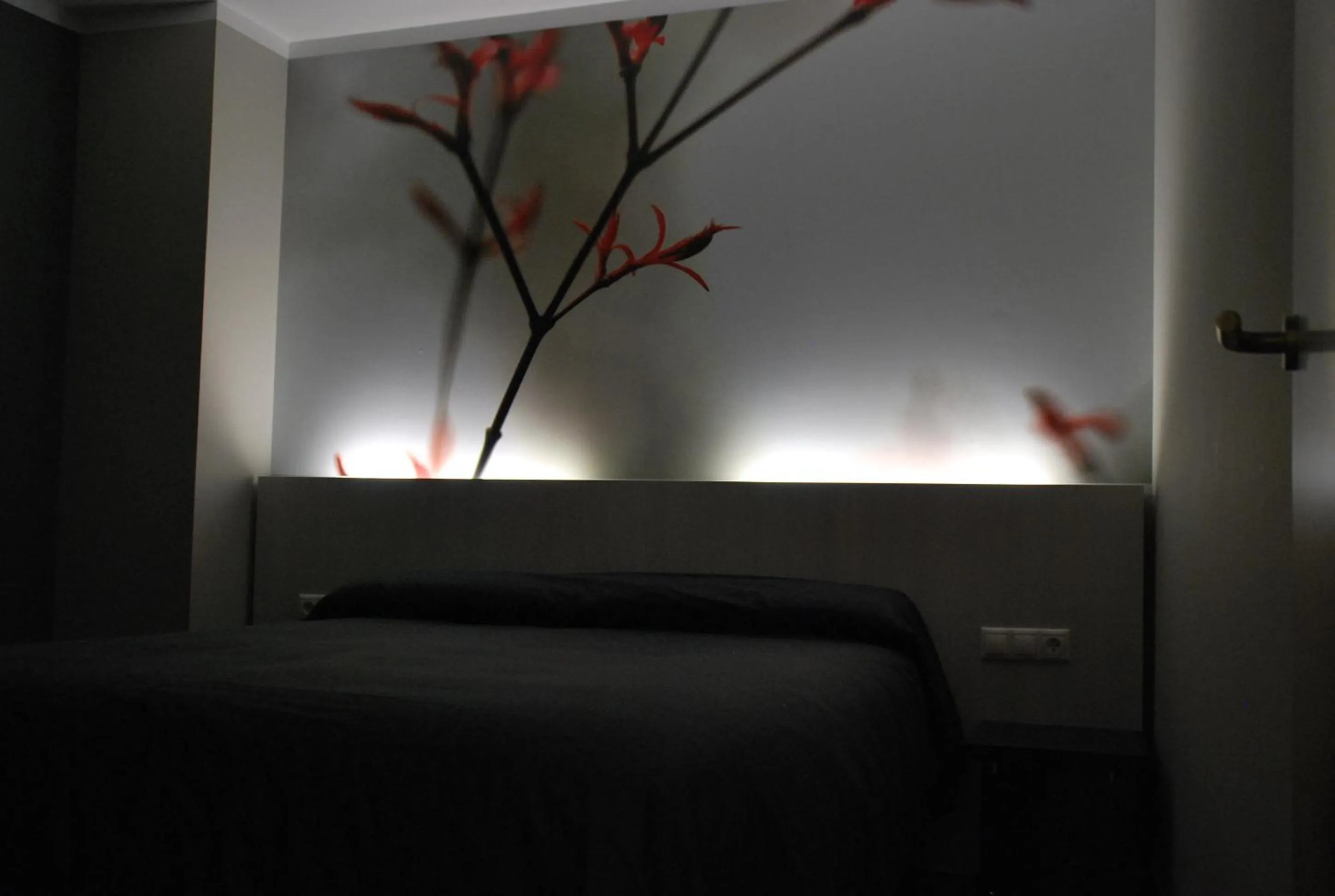 Decorative detail, Bed in Aparthotel Meseguer