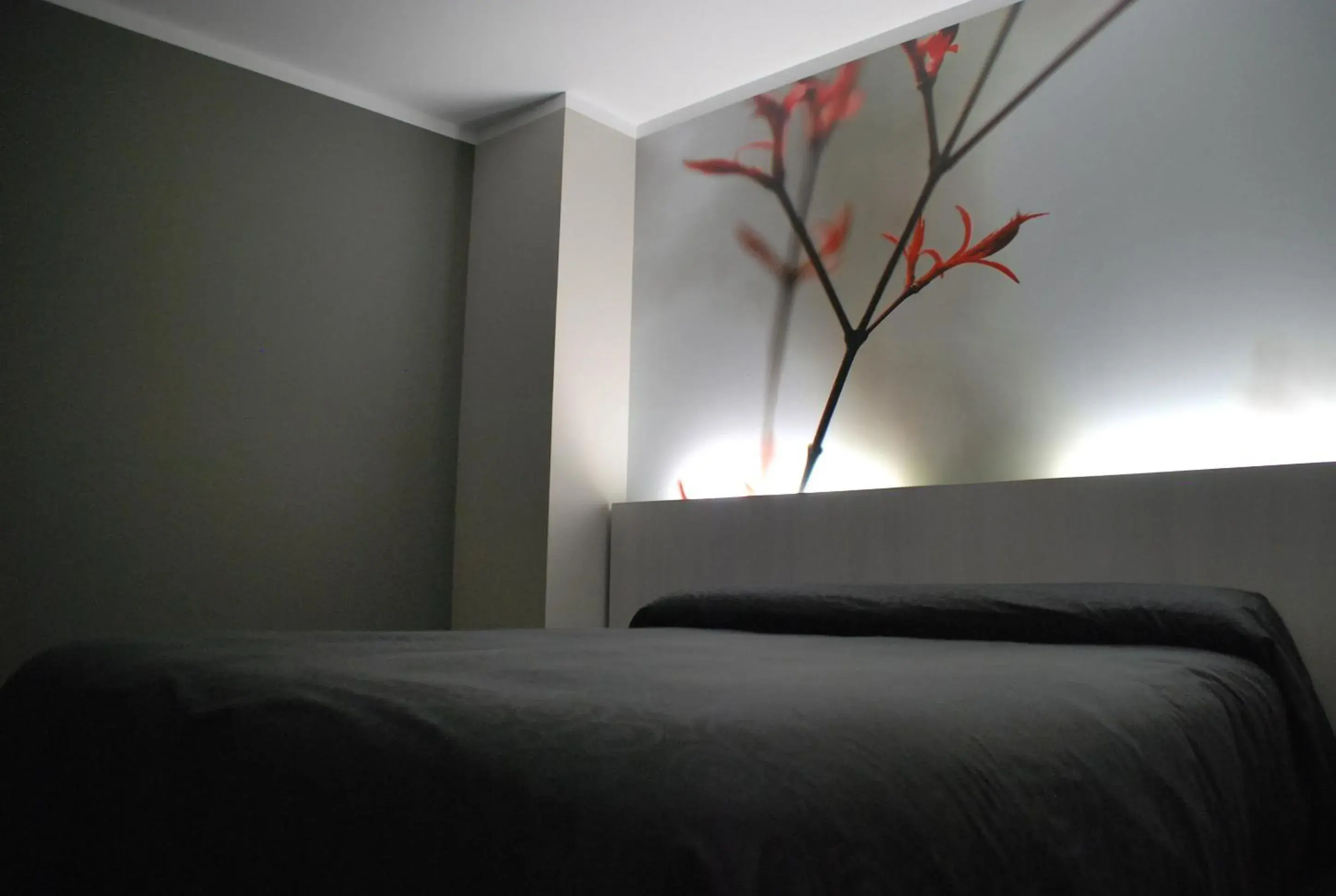 Standard Apartment - single occupancy in Aparthotel Meseguer Standard Apartment - single occupancy in Aparthotel Meseguer