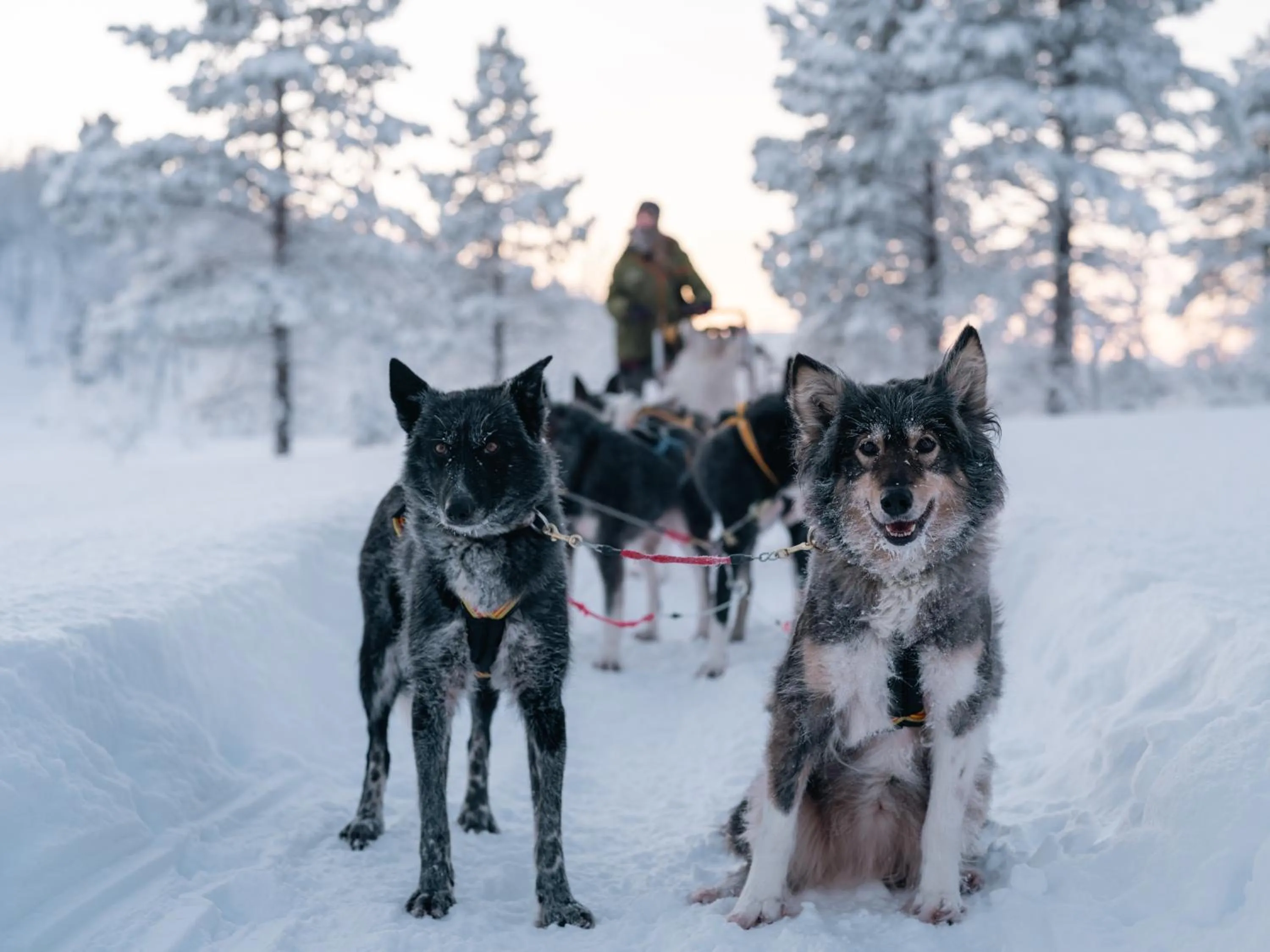 People in Malangen Resort