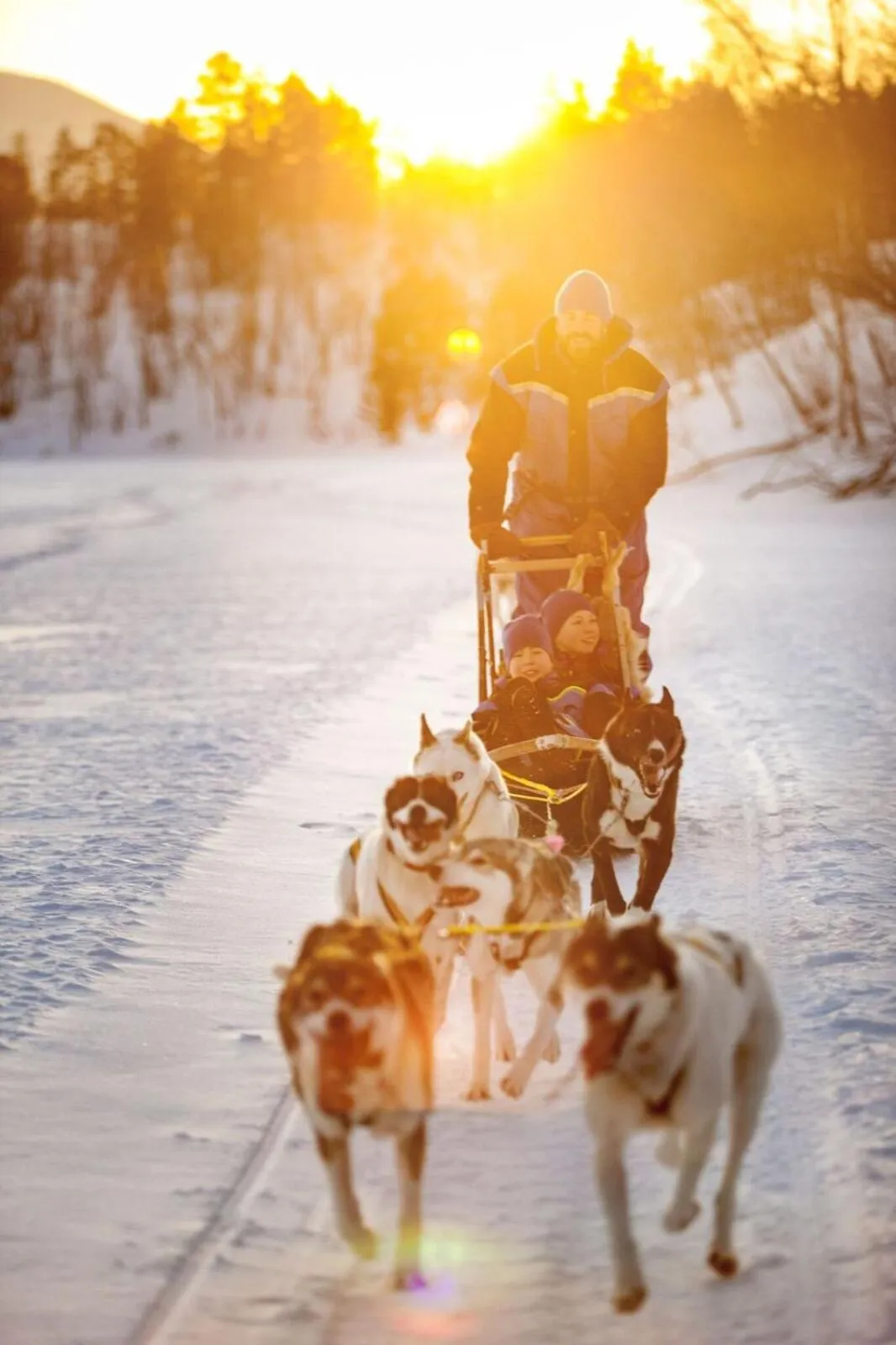 Activities in Malangen Resort