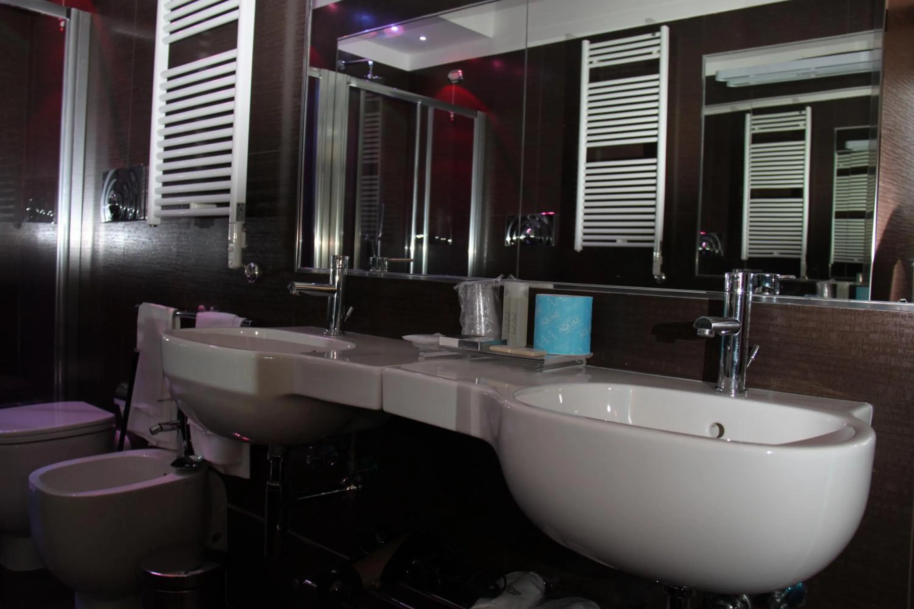 Bathroom in Sweet Vatican