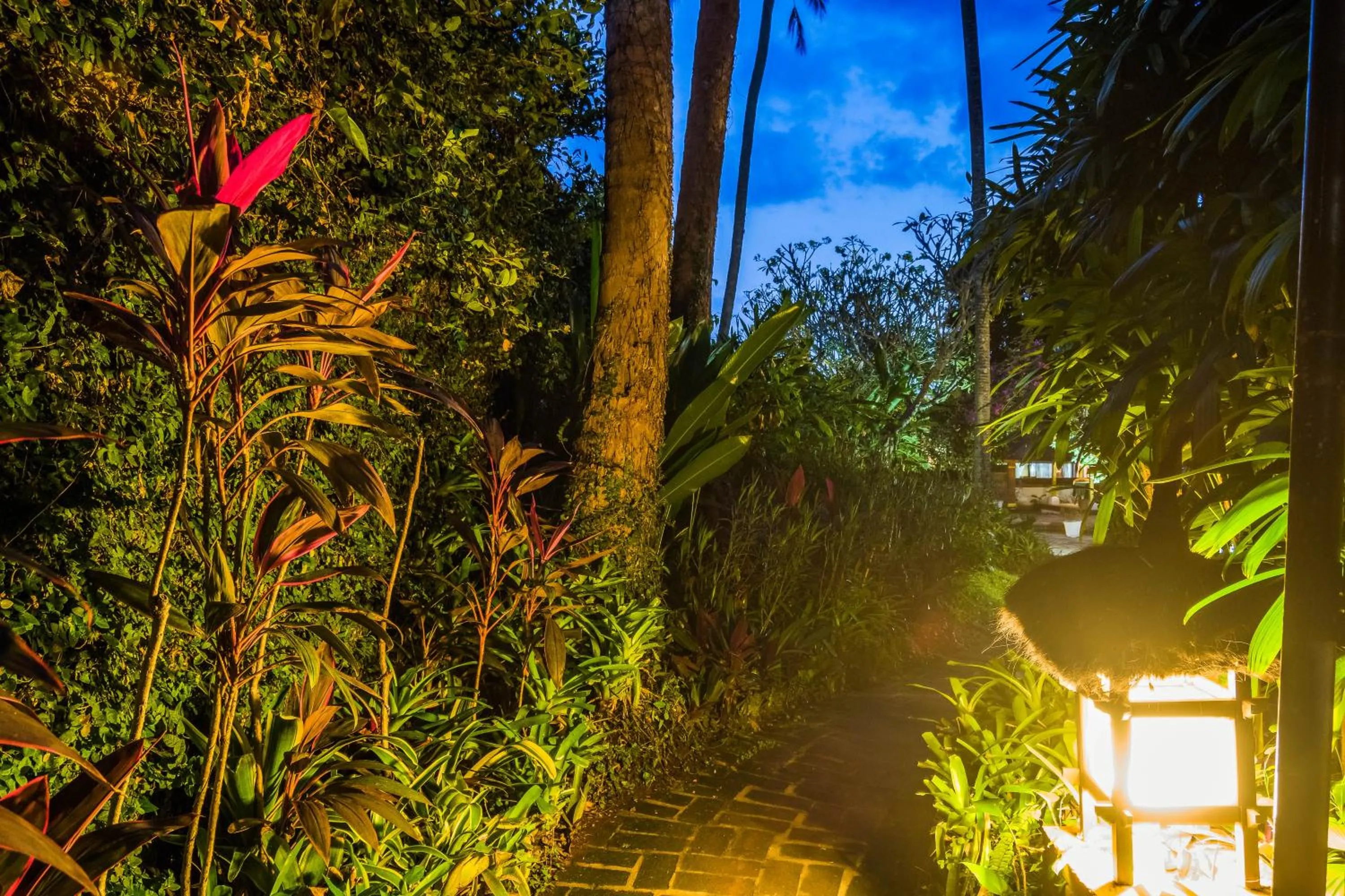 Garden in The Water Garden Hotel