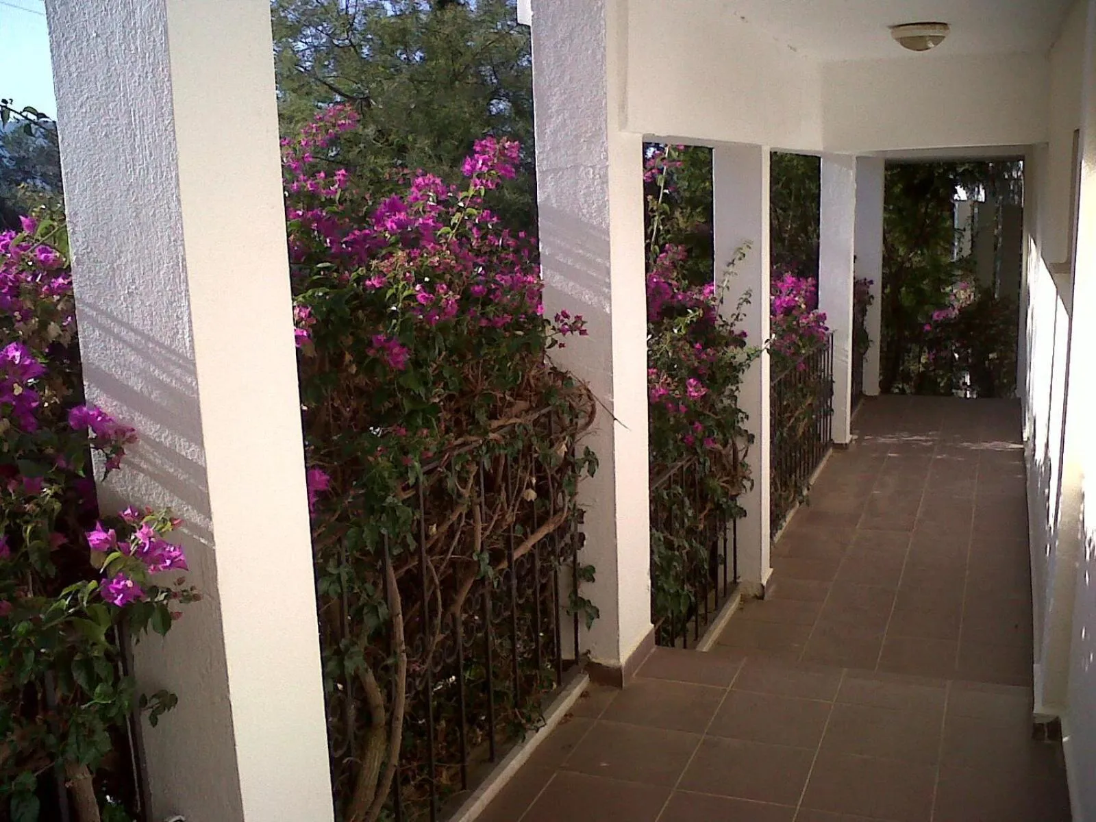 Property building in Ant Apart Hotel