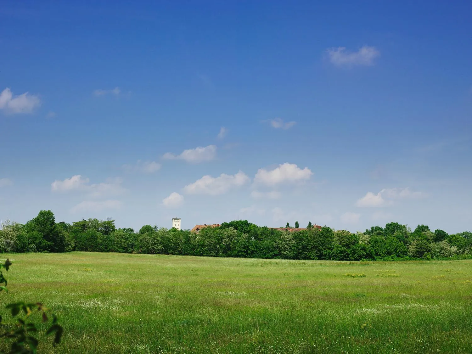 Natural landscape in Hotel am Friedrichshof