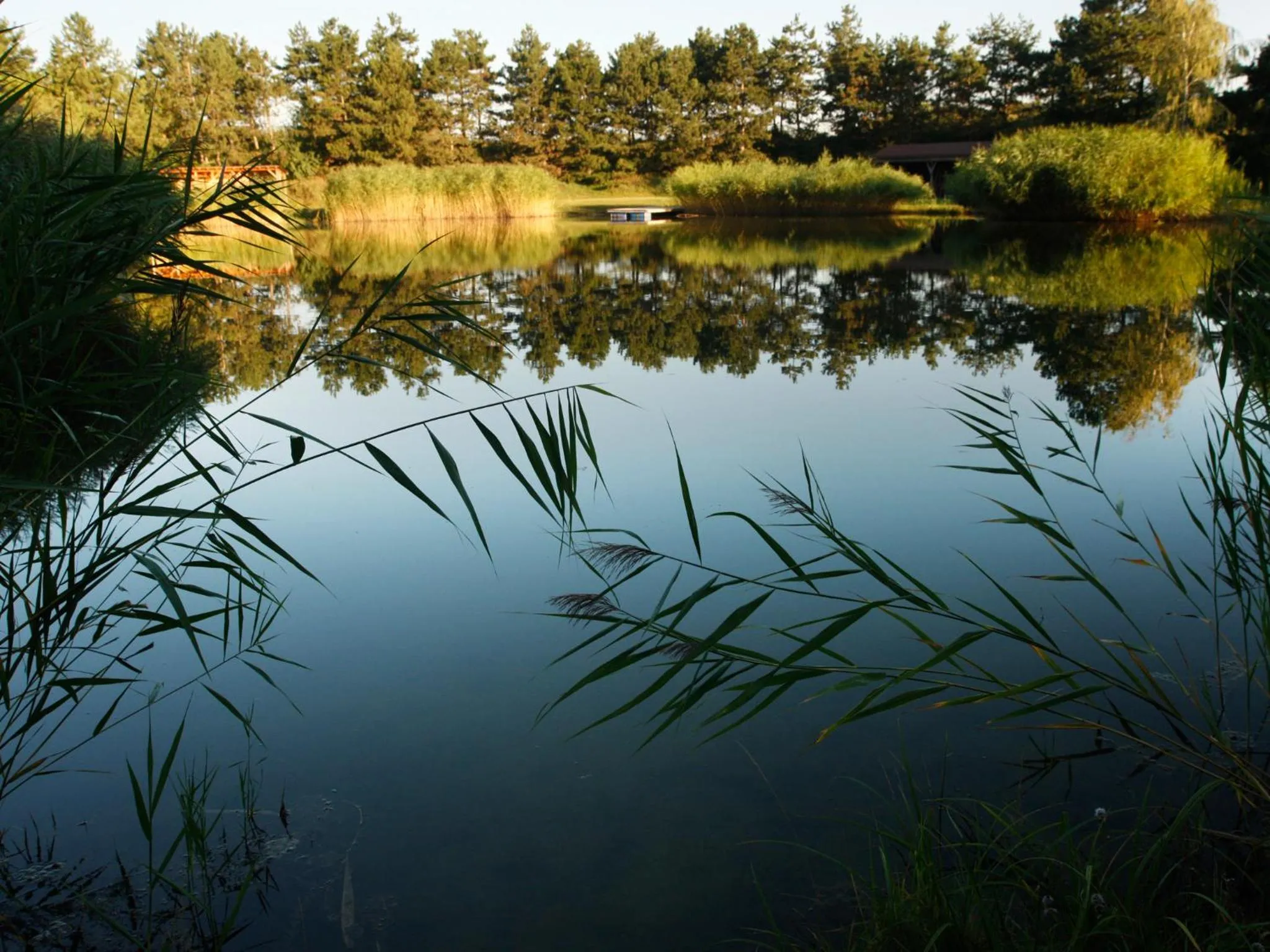 Other in Hotel am Friedrichshof