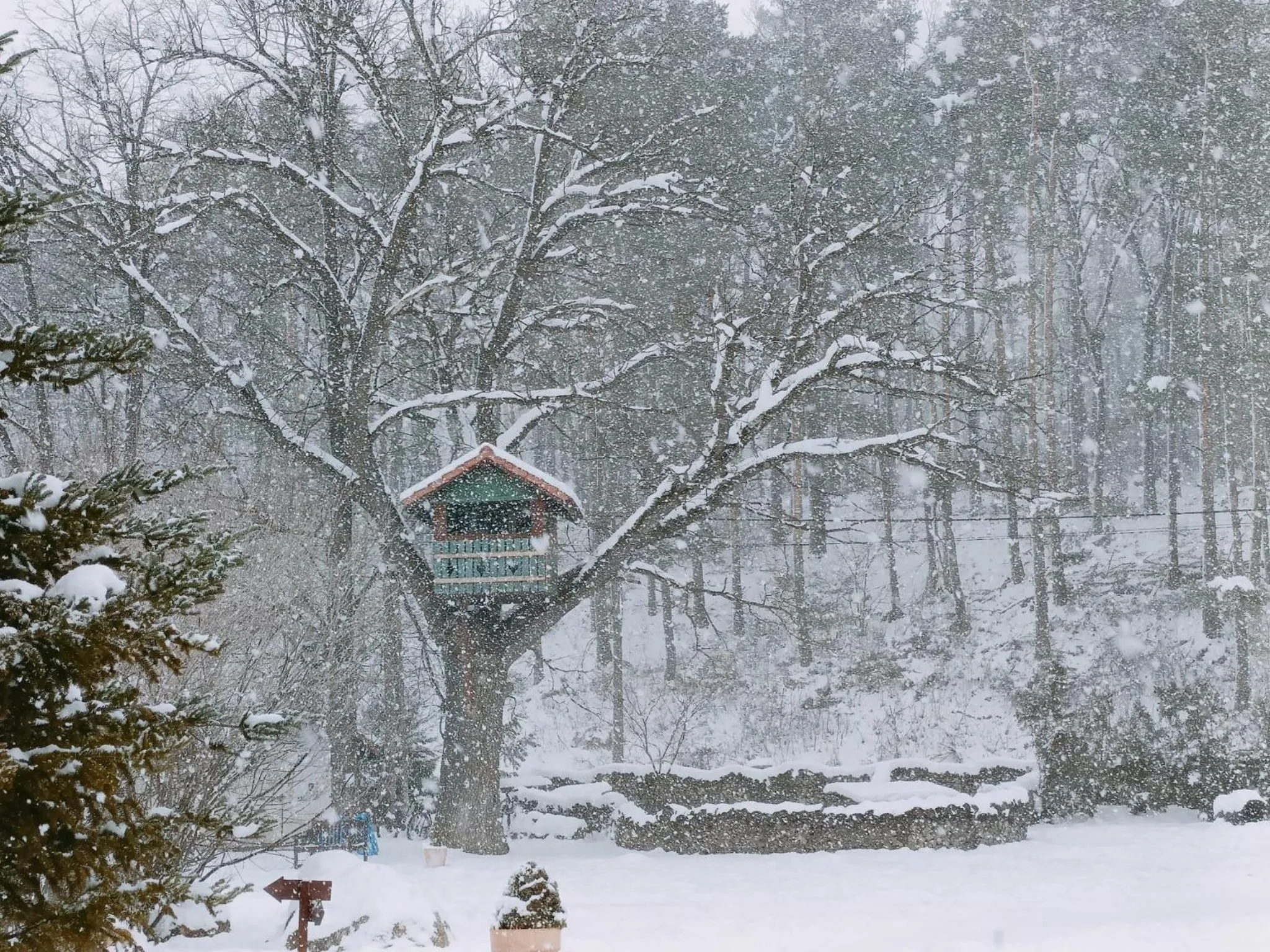 Location in Wolkendorf Bio Hotel & Spa