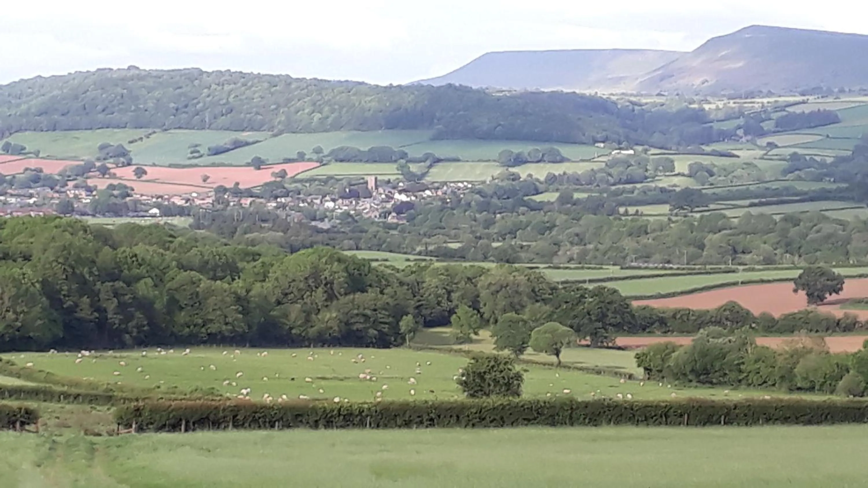 The Draen Bed and Breakfast