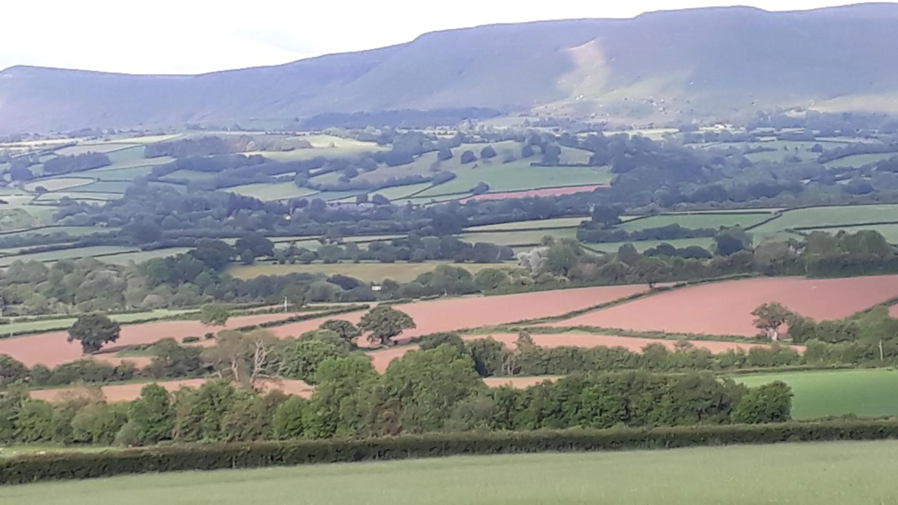 The Draen Bed and Breakfast