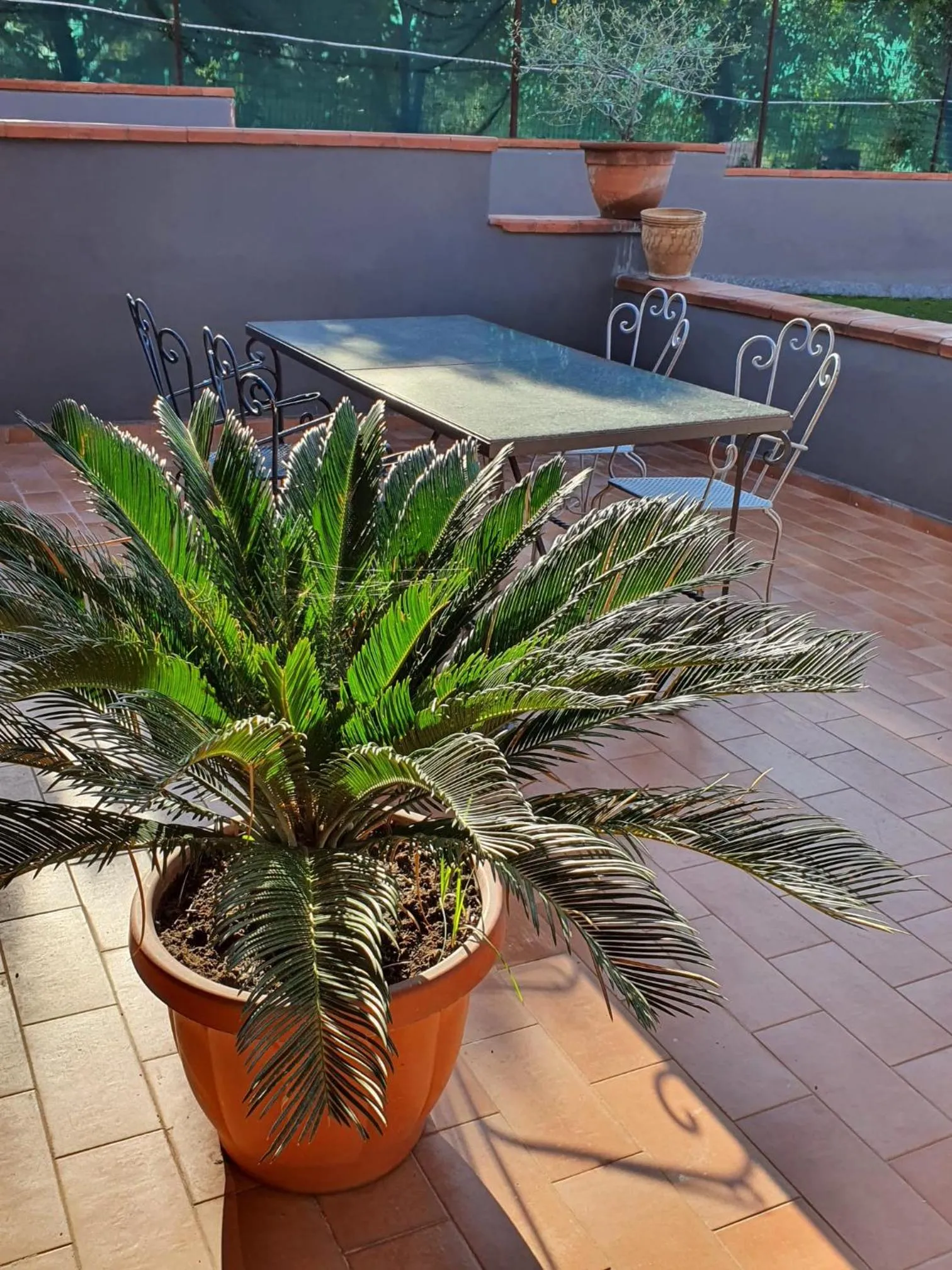 Property building in Bed & Breakfast Neapolis