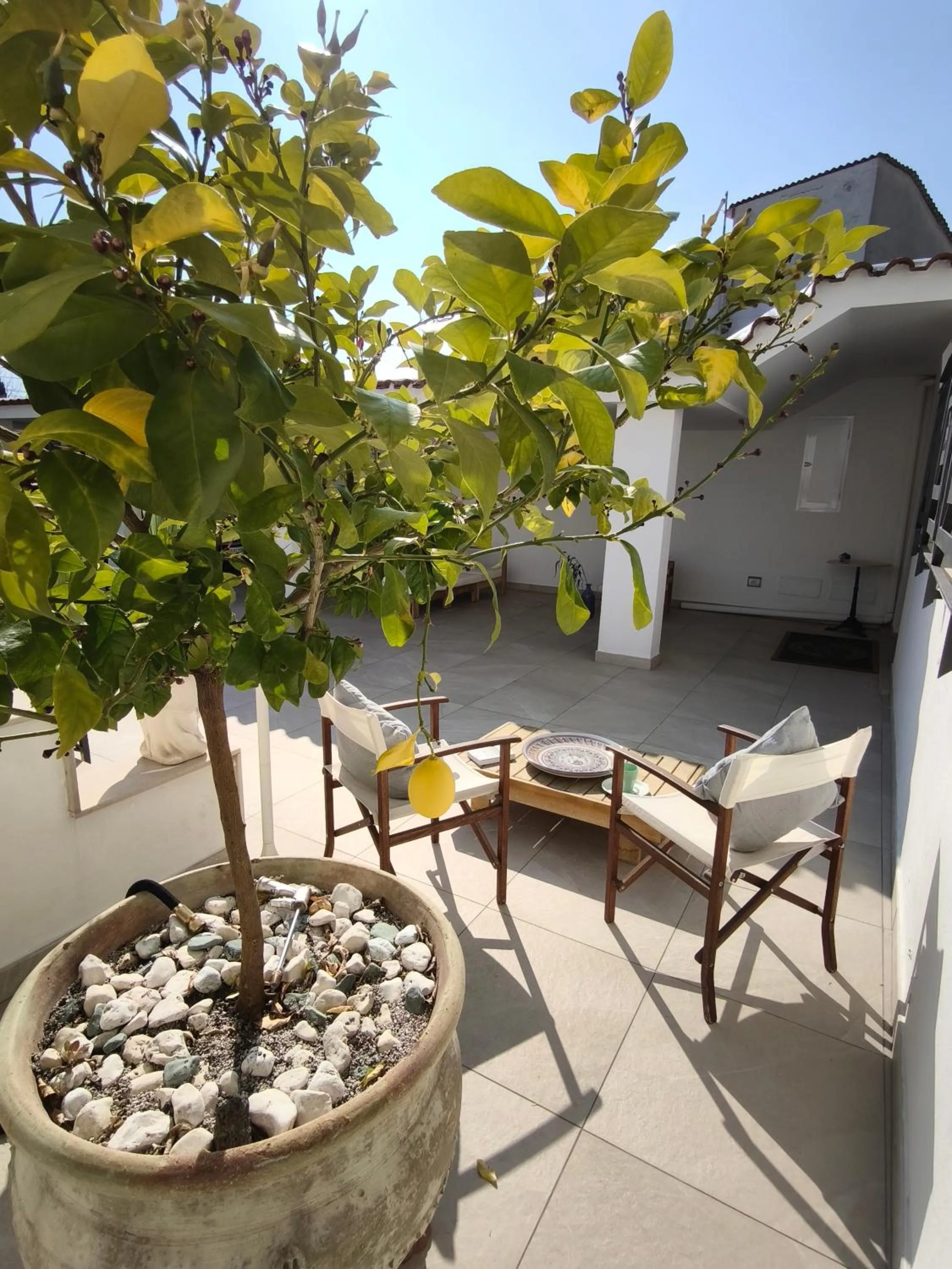 Garden in Villa Ettore